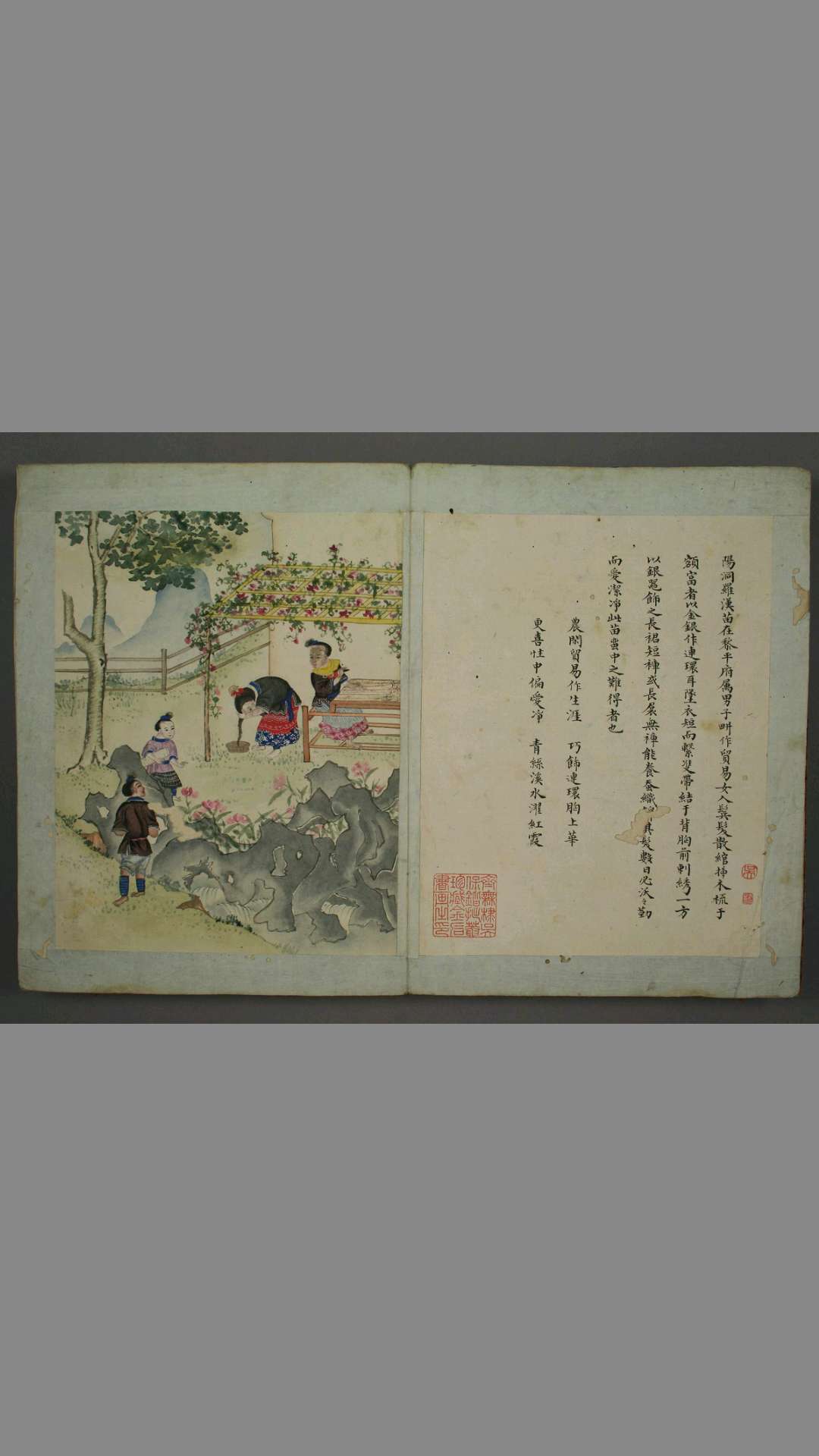 黔省诸苗全图.上下册.清绘本