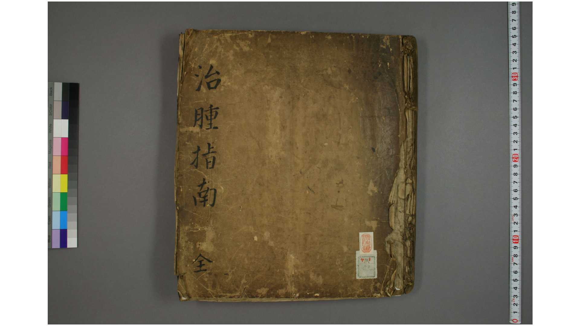 治肿指南