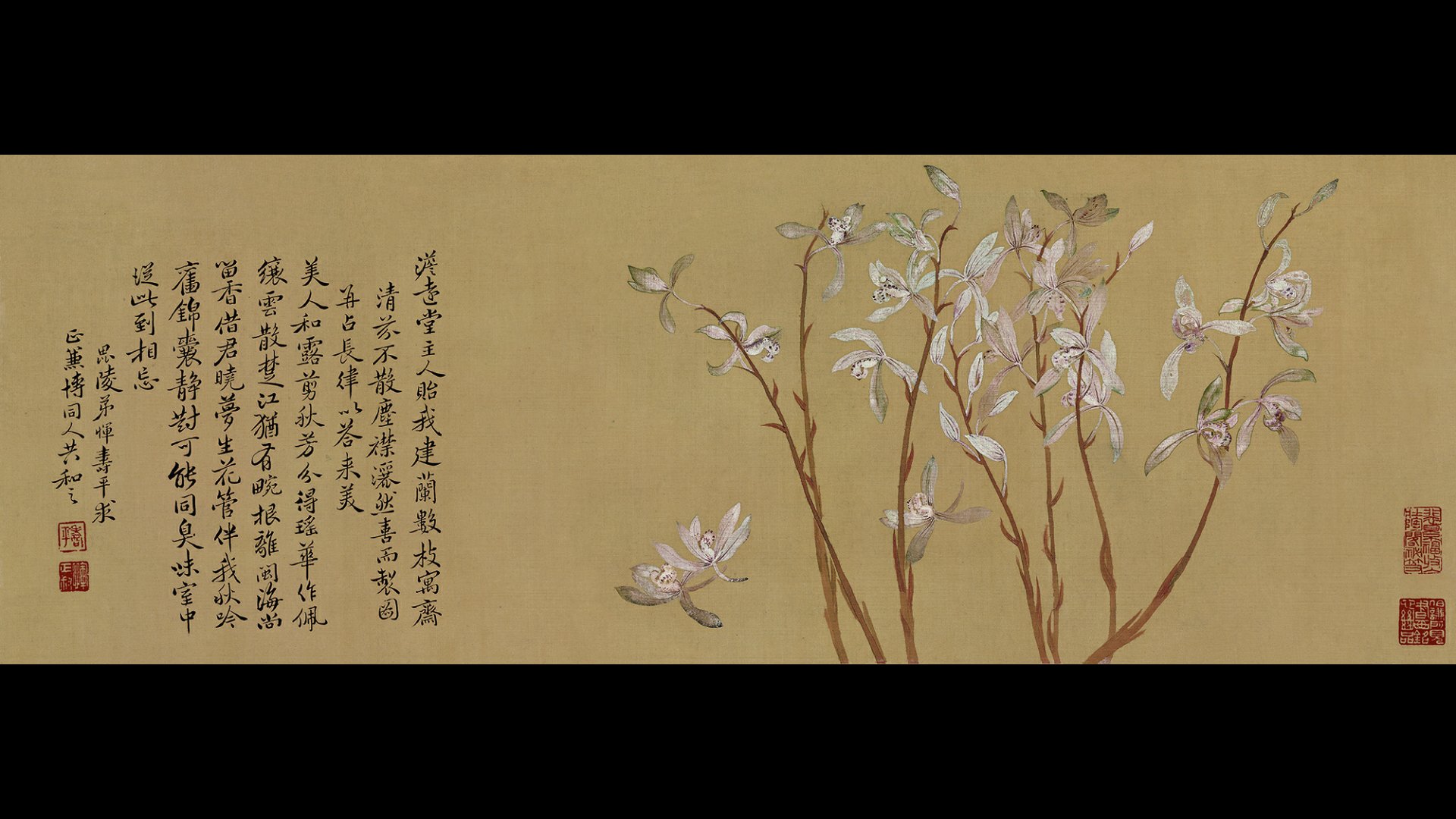清 恽寿平 九兰图绢本23.4×60.8