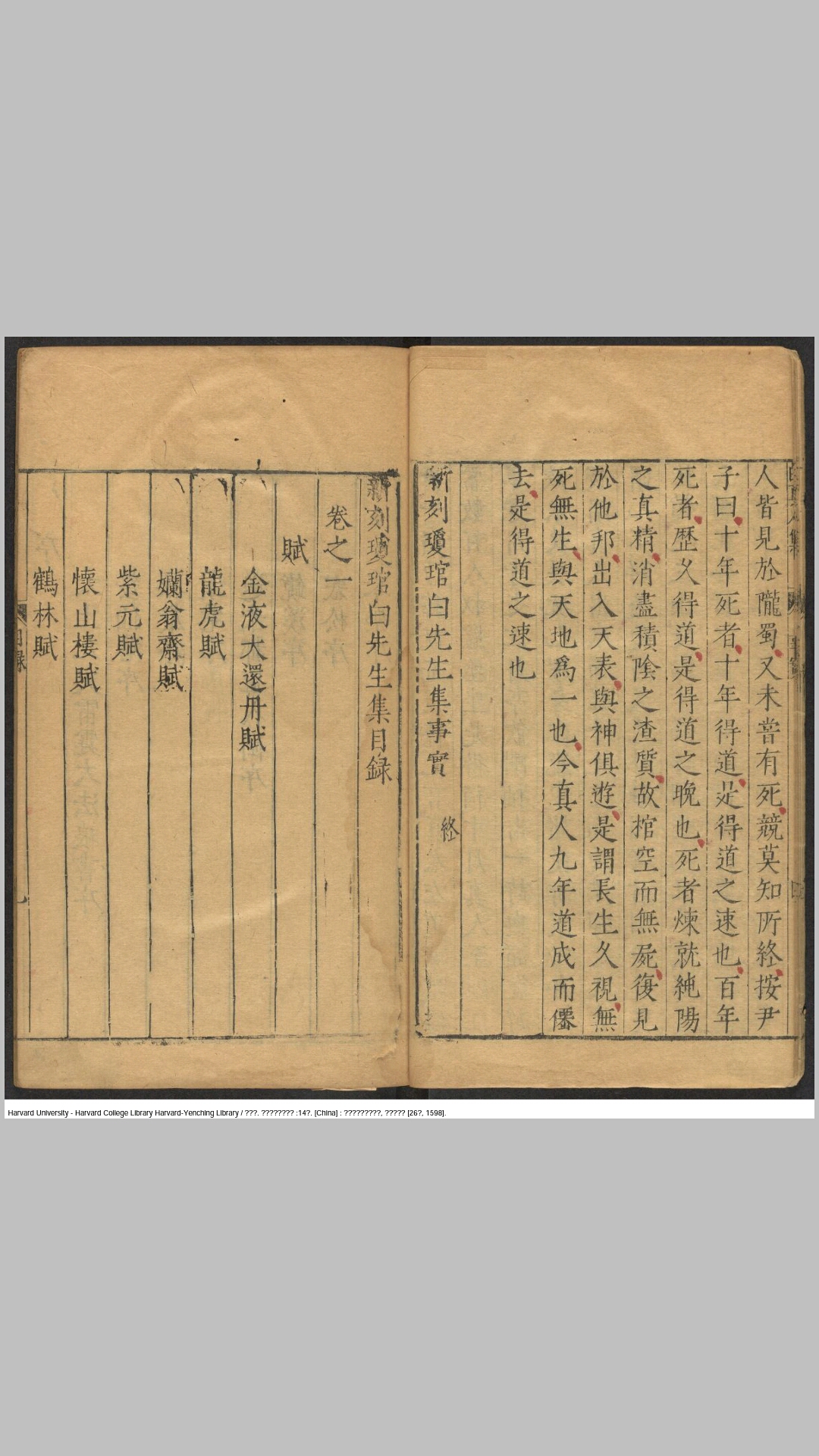 白玉