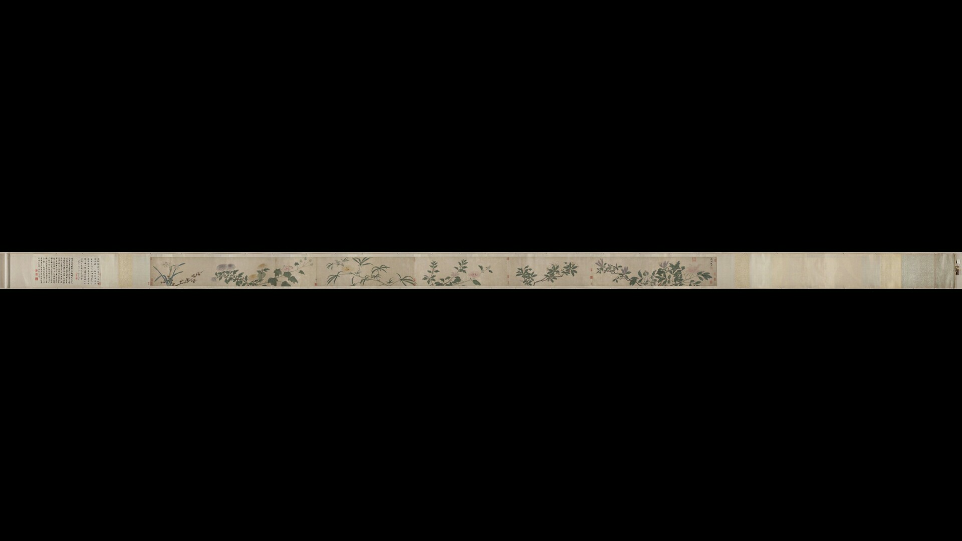明 沈周 四季花卉卷纸本27.5X504.8