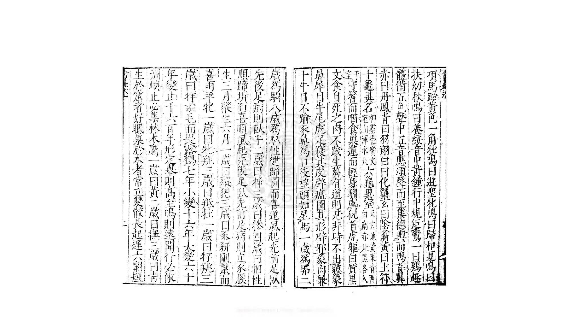 虫