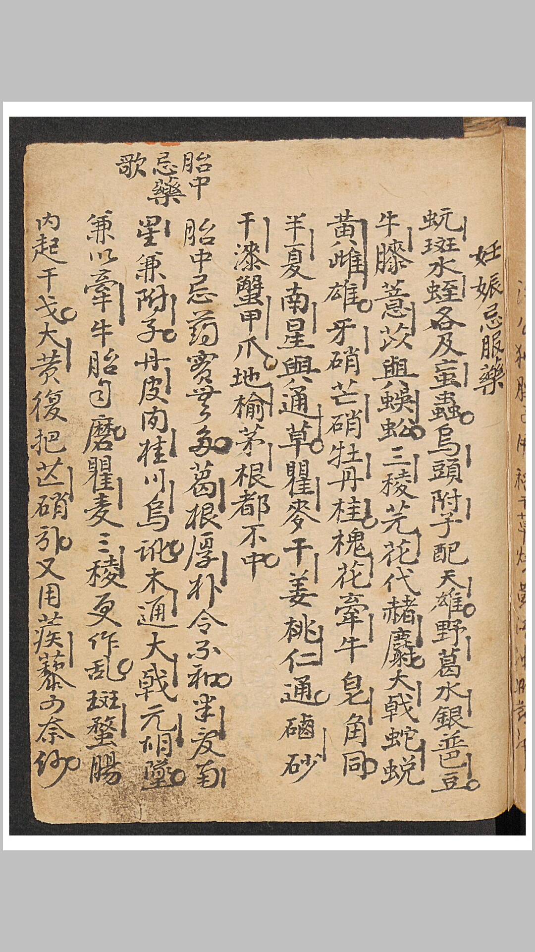 寿