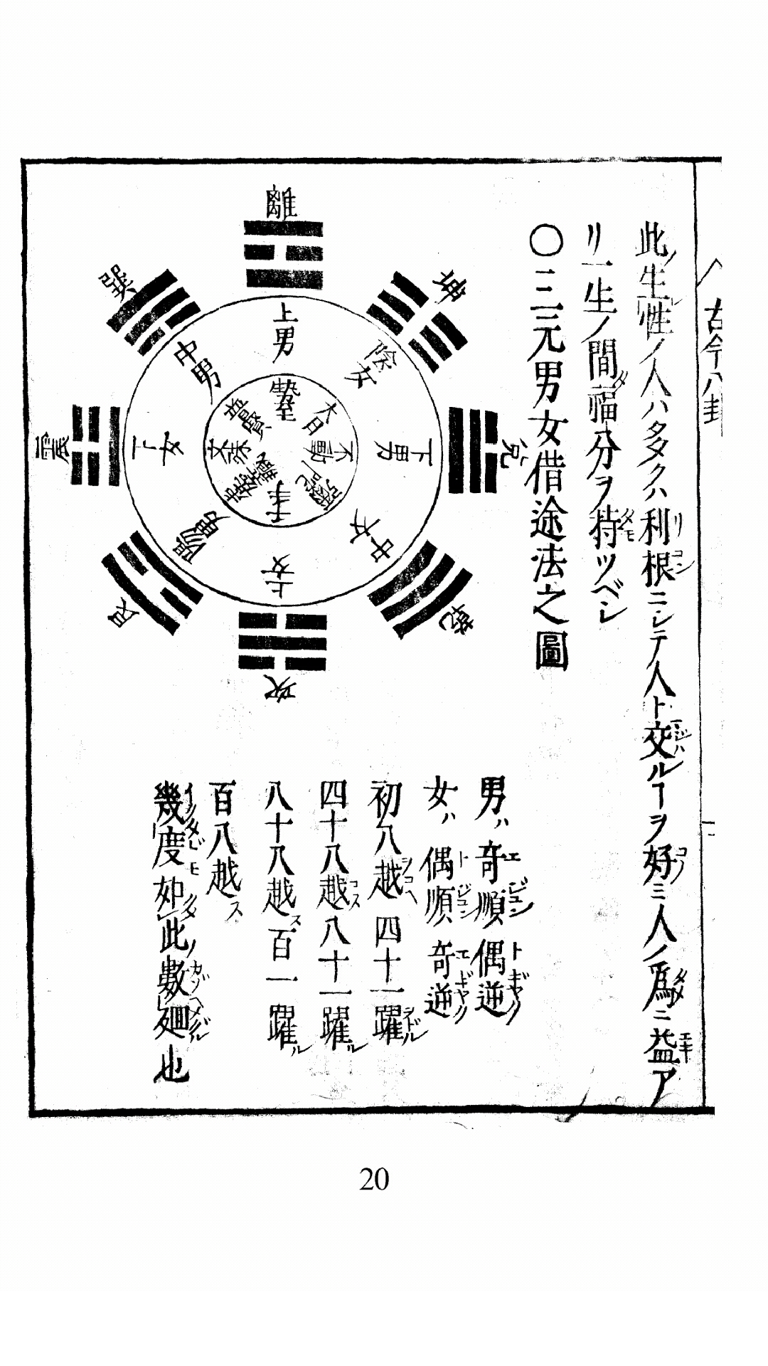 八