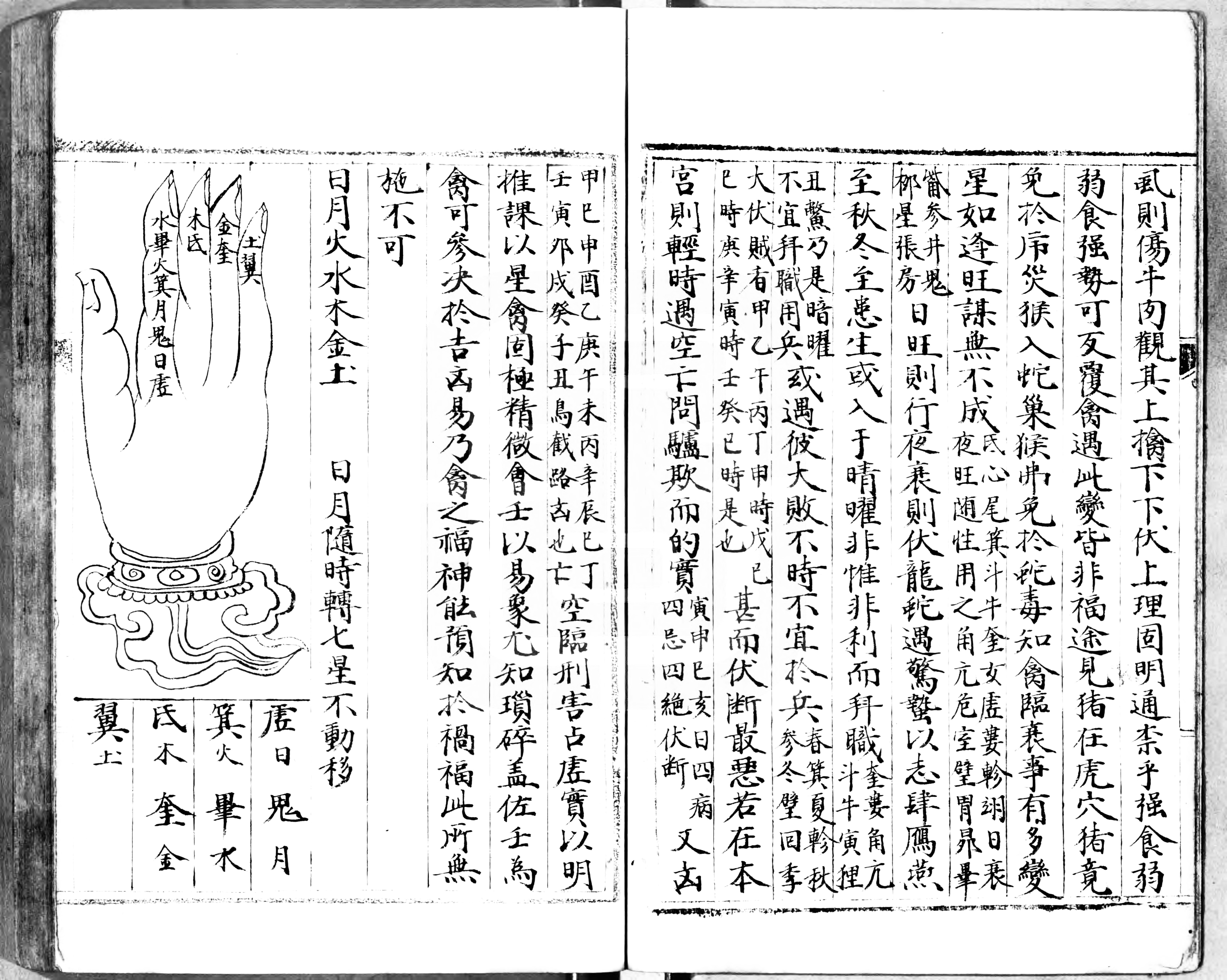 禽遁