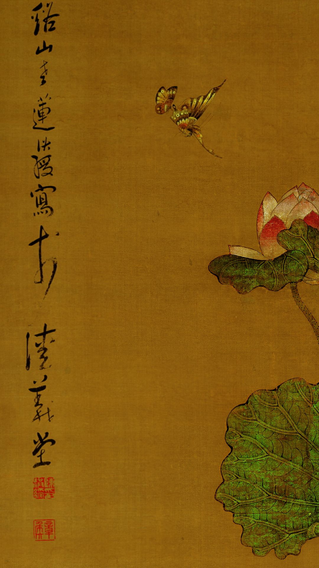 荷花图