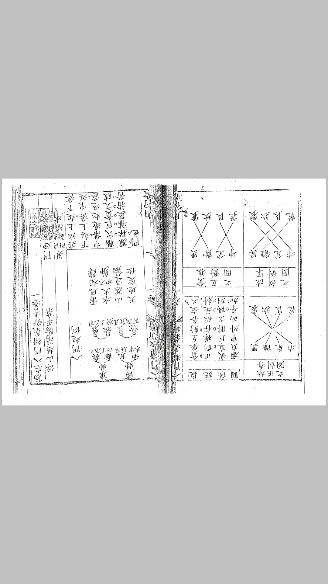 阳