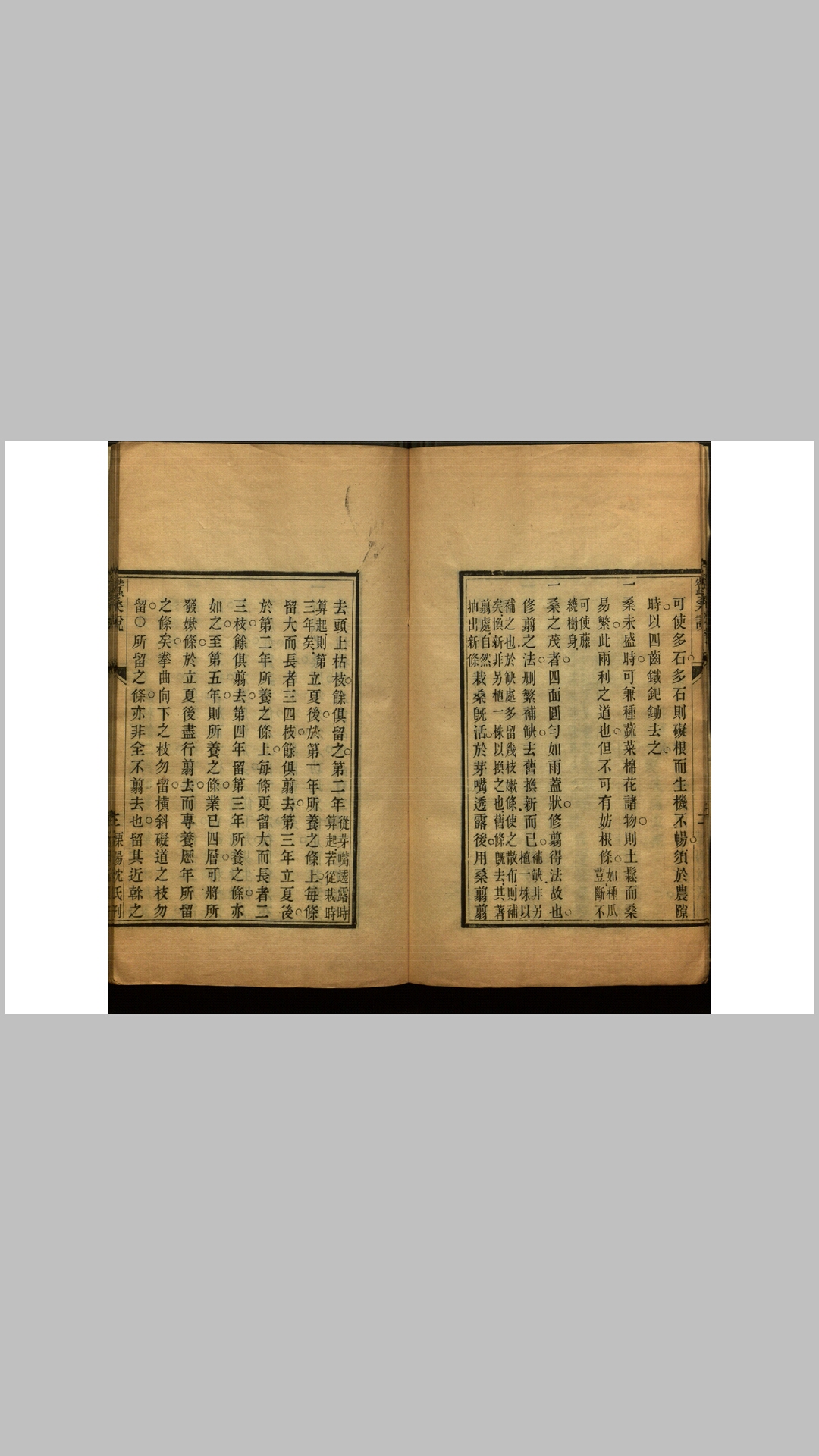 蚕说