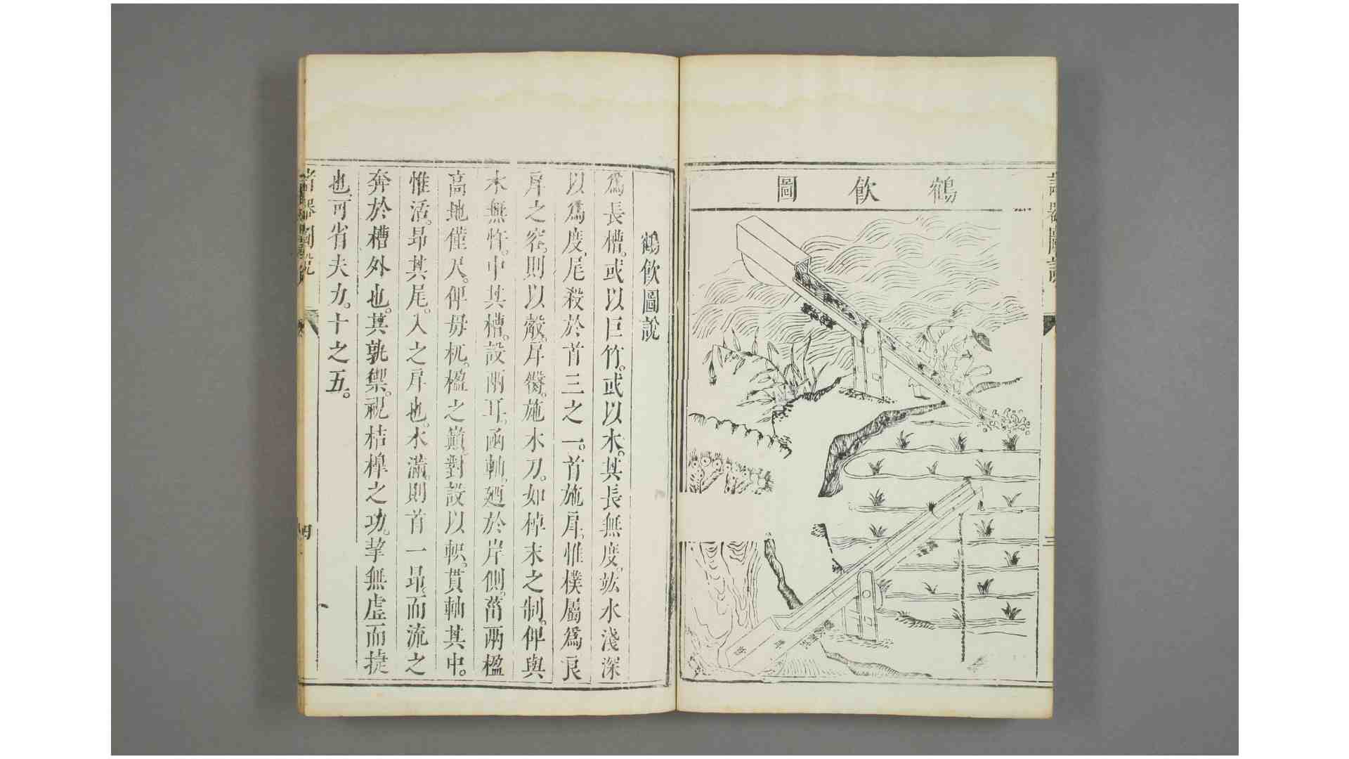 2565271