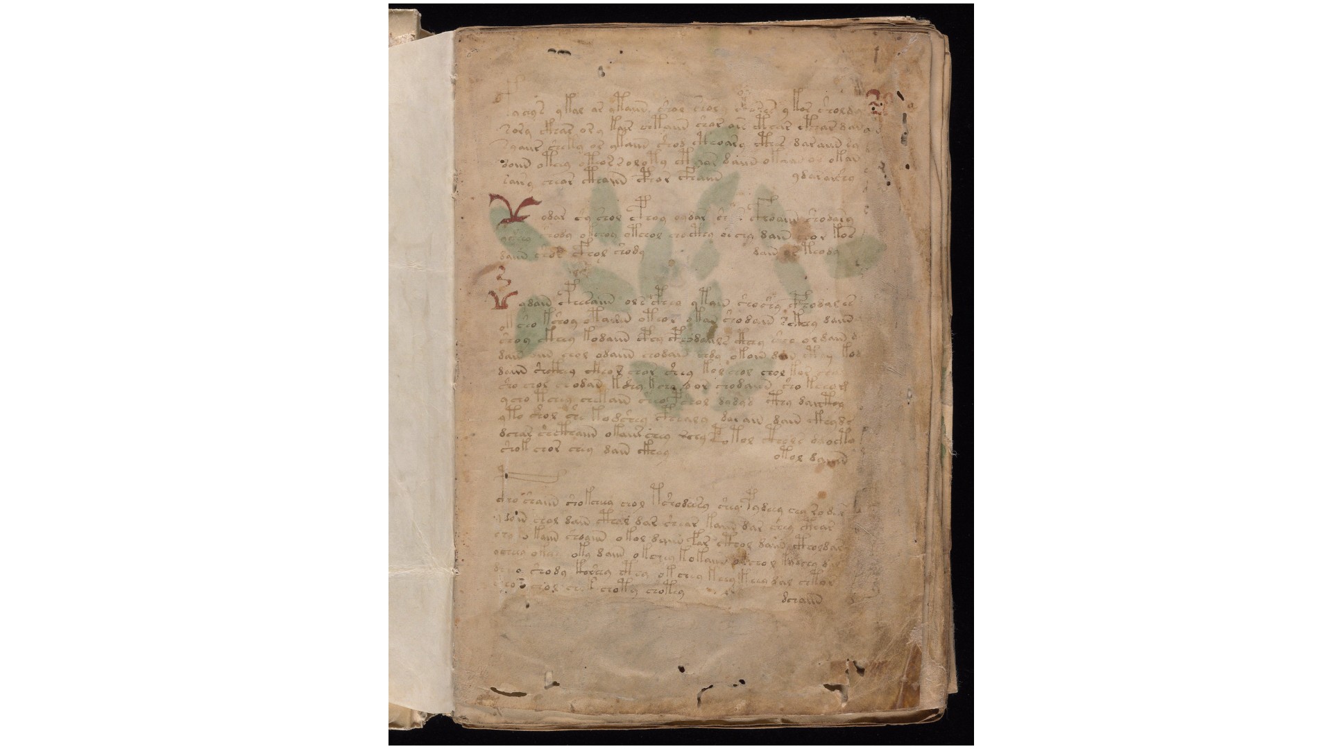 伏尼契手稿.Voynich manuscript.高清.耶鲁大学图书馆藏.约十五世纪