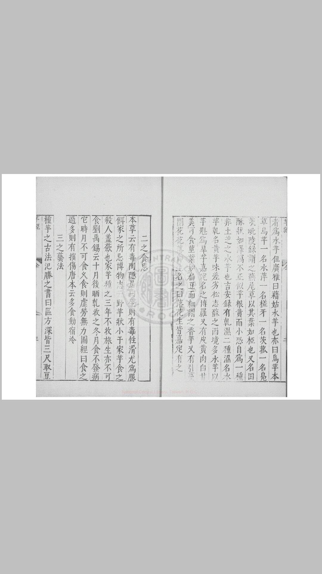 芋经