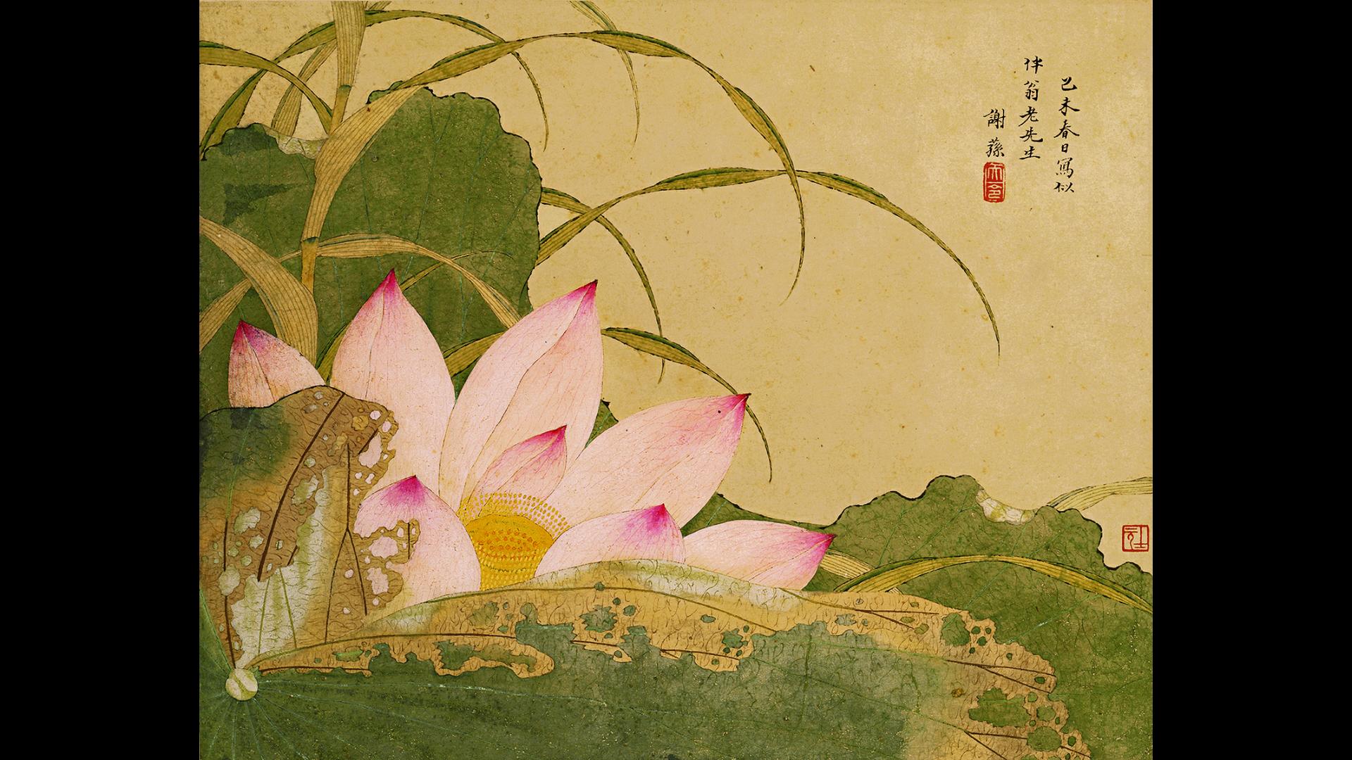 谢荪荷花图