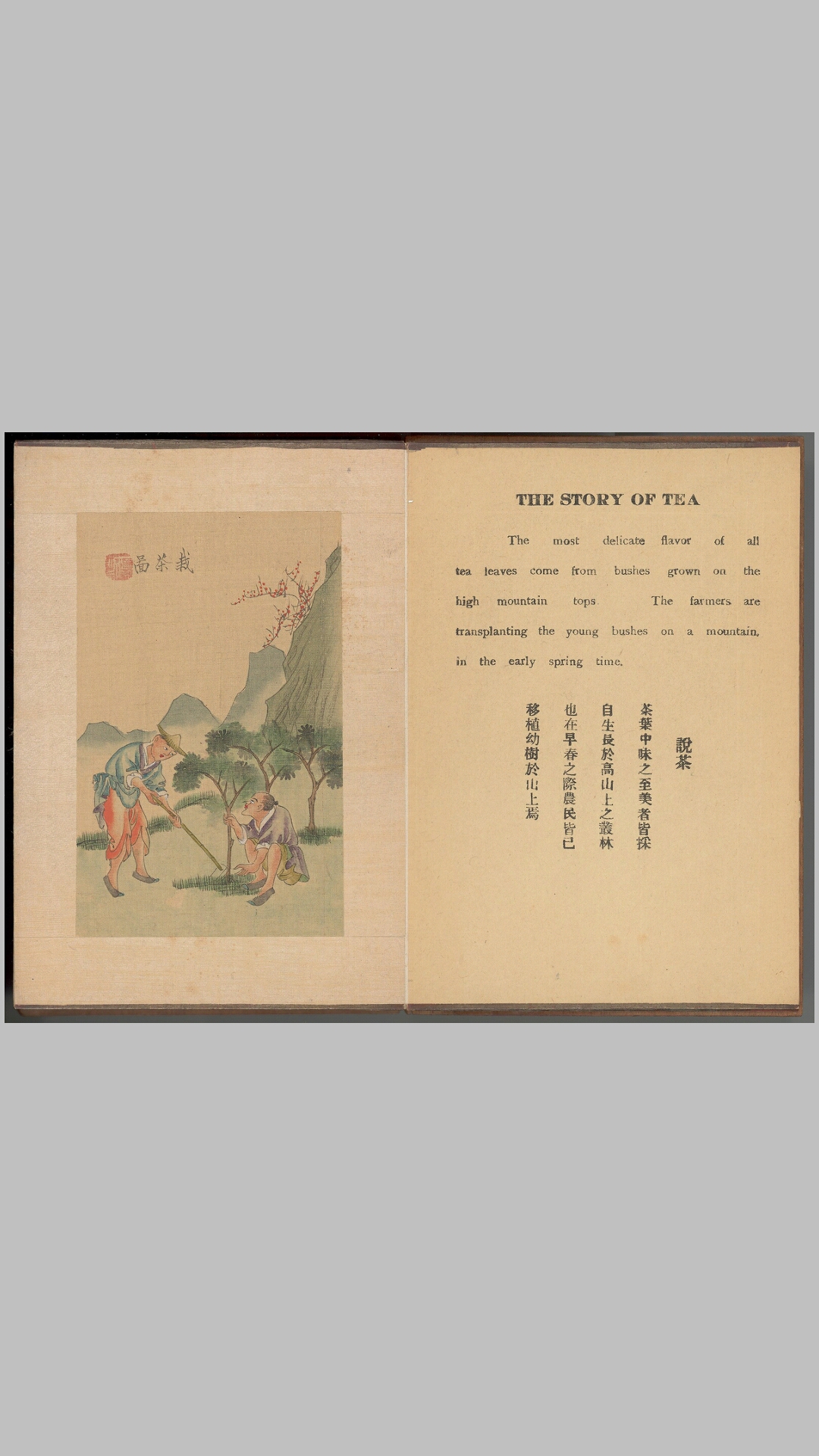 茶景全图.蟠桃八仙会.两册.清末民初彩绘