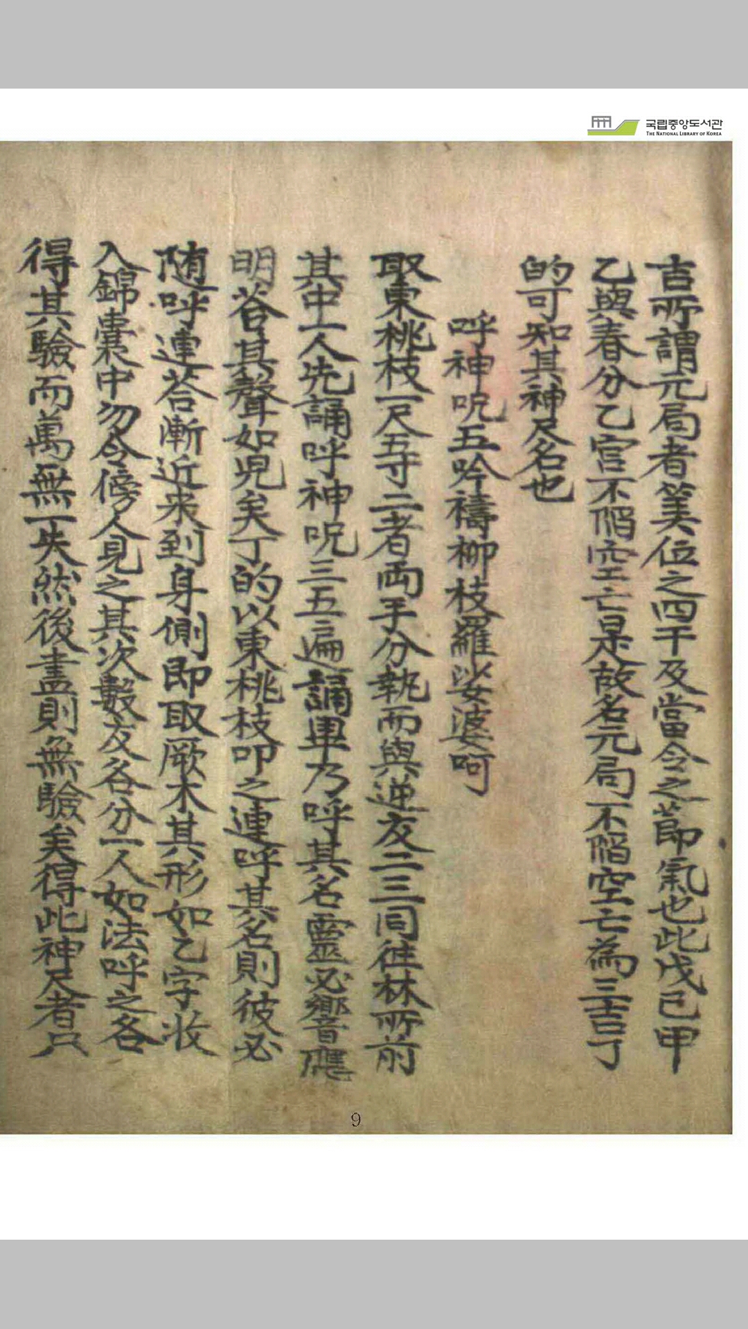 仙