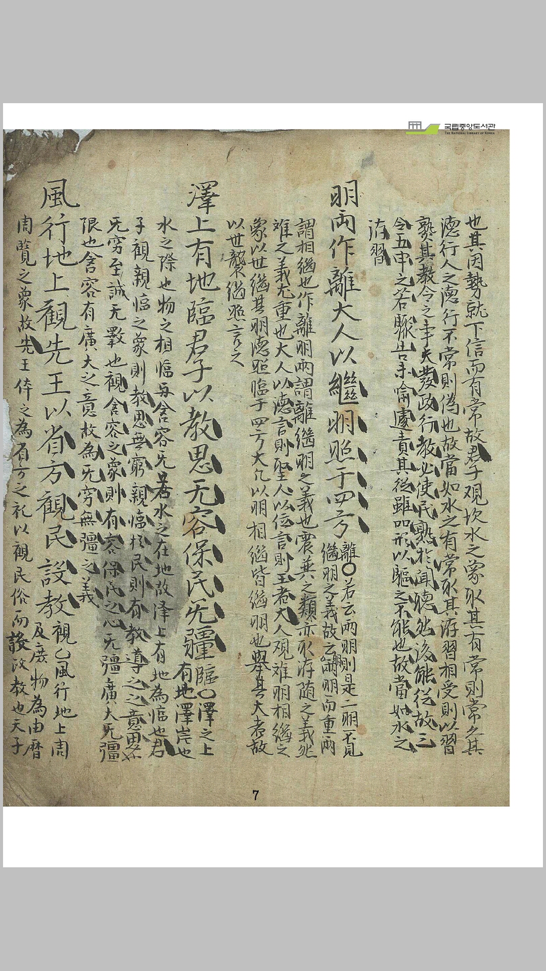 大象