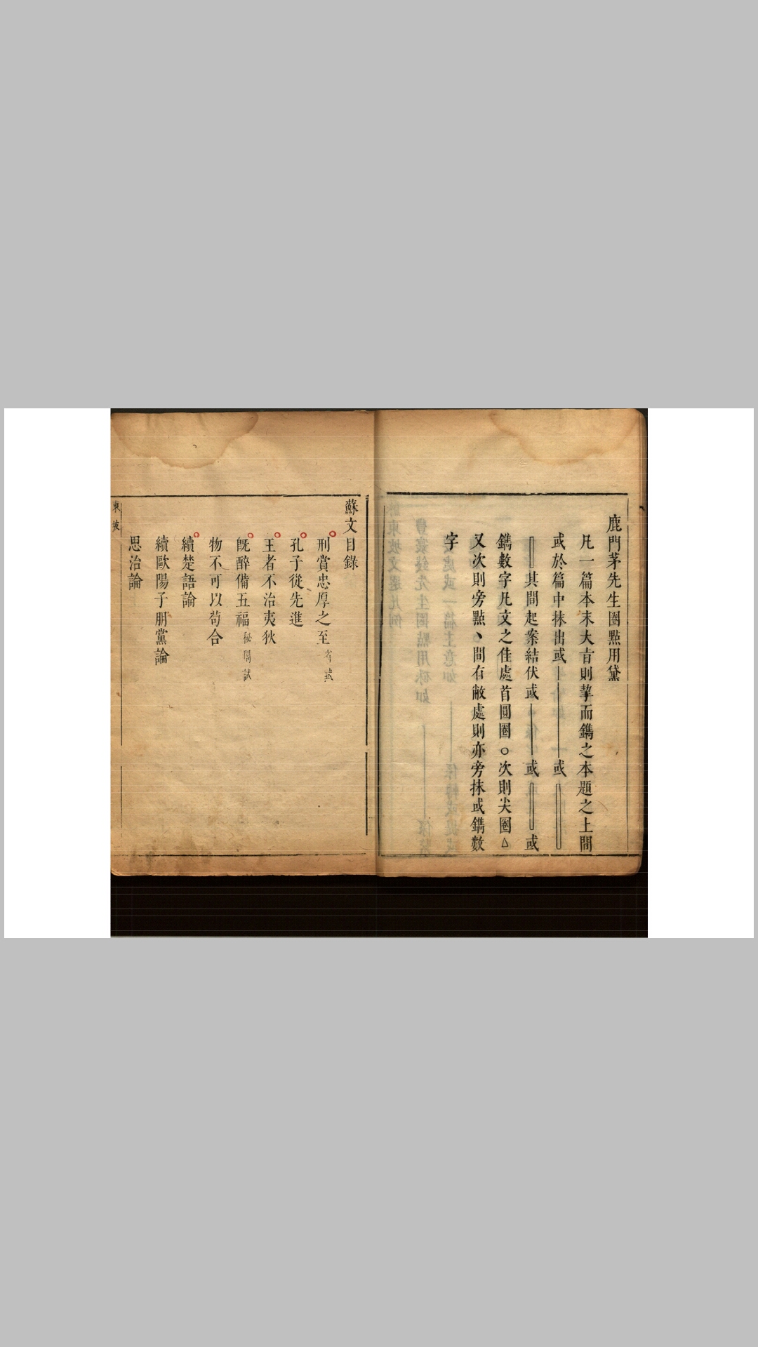 文