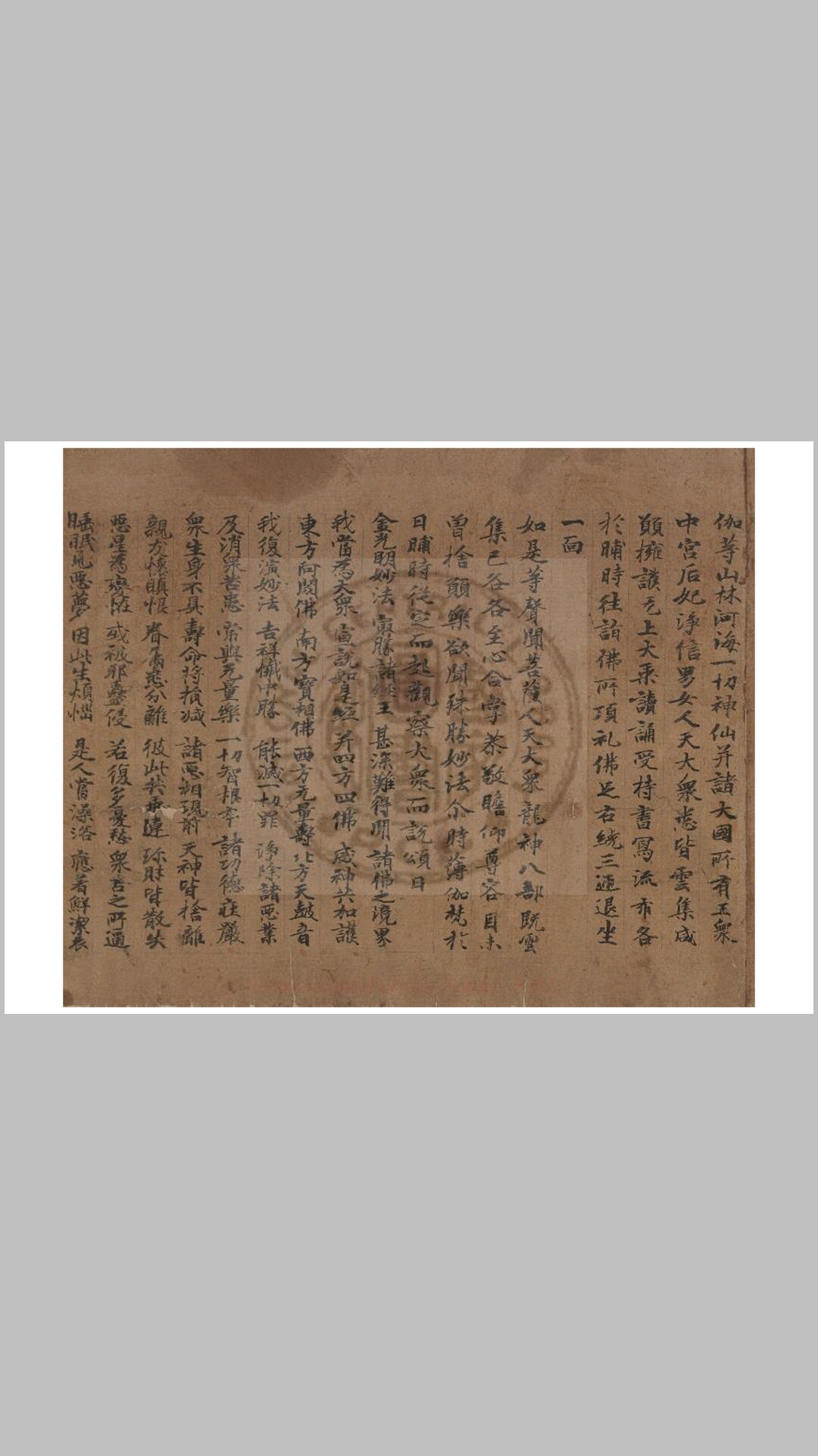 金光
