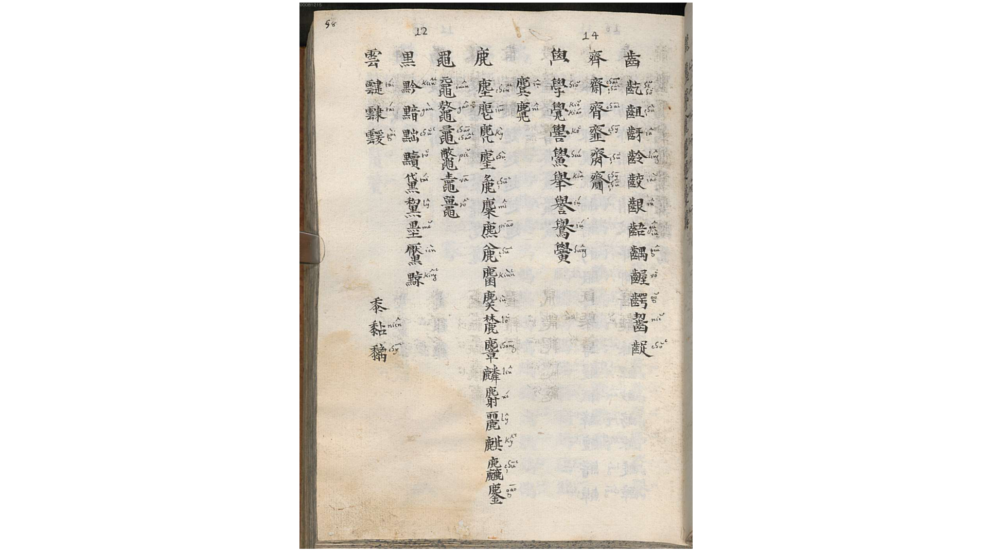 zi