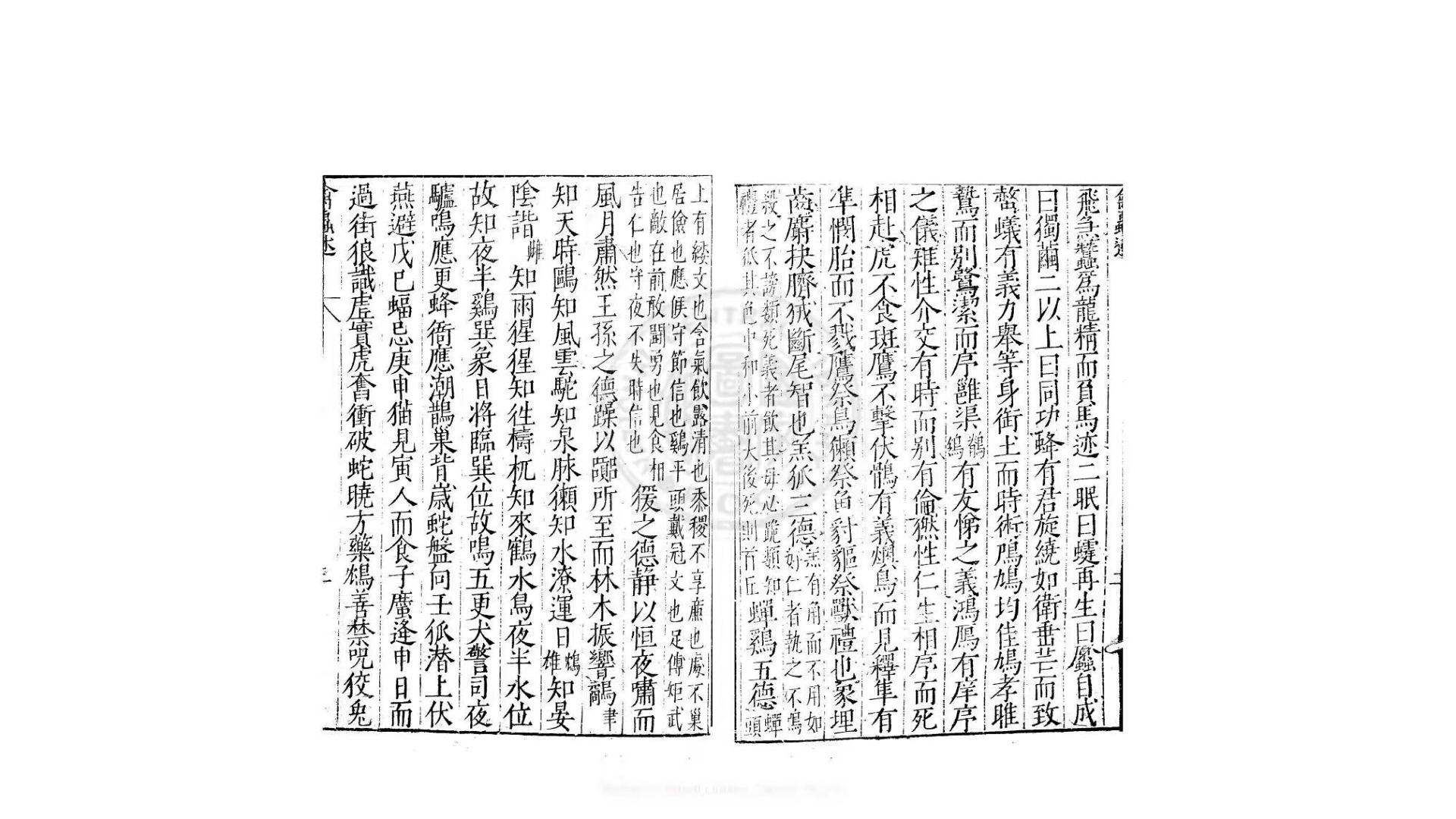 虫