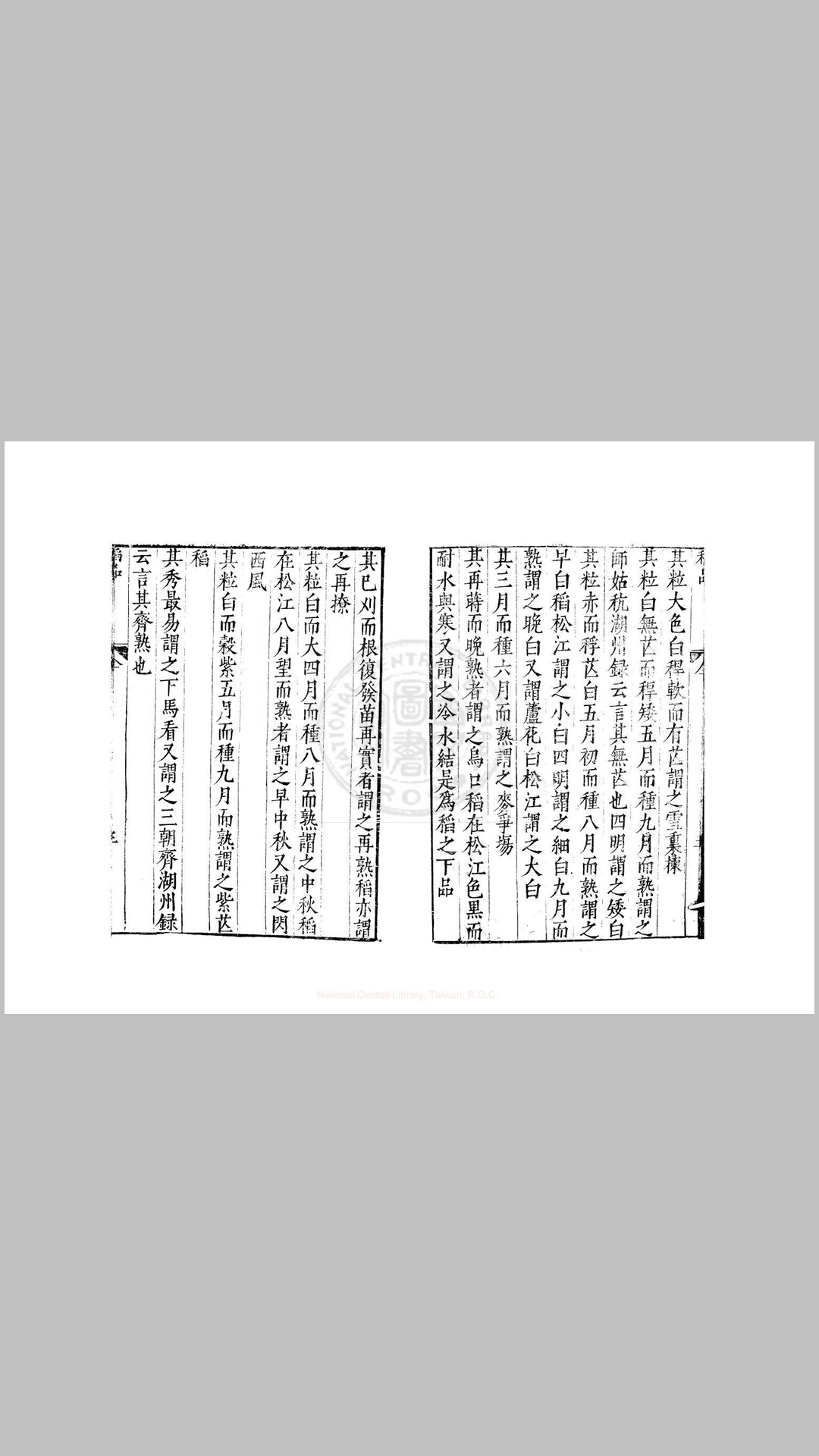 稻