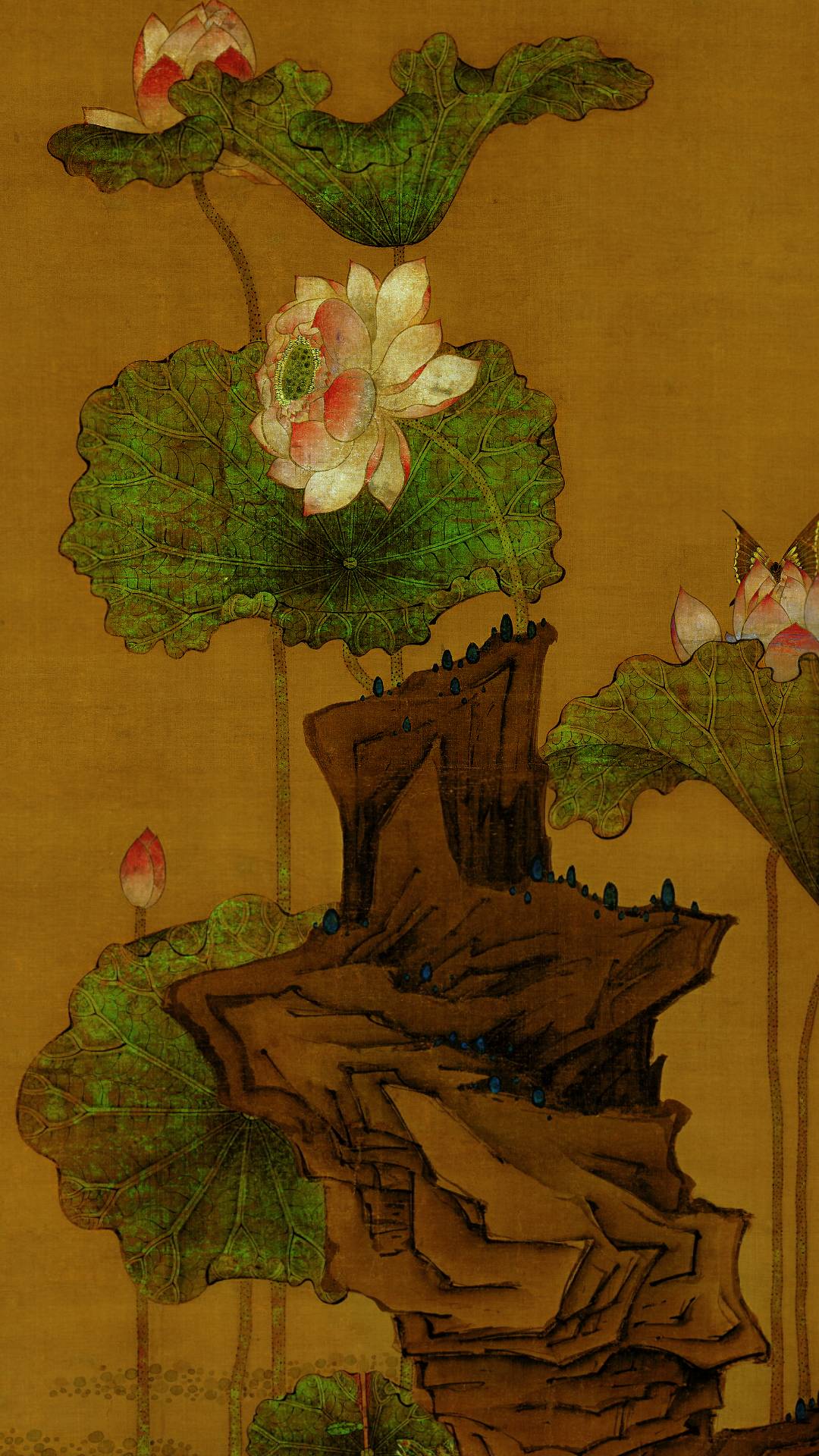 荷花图