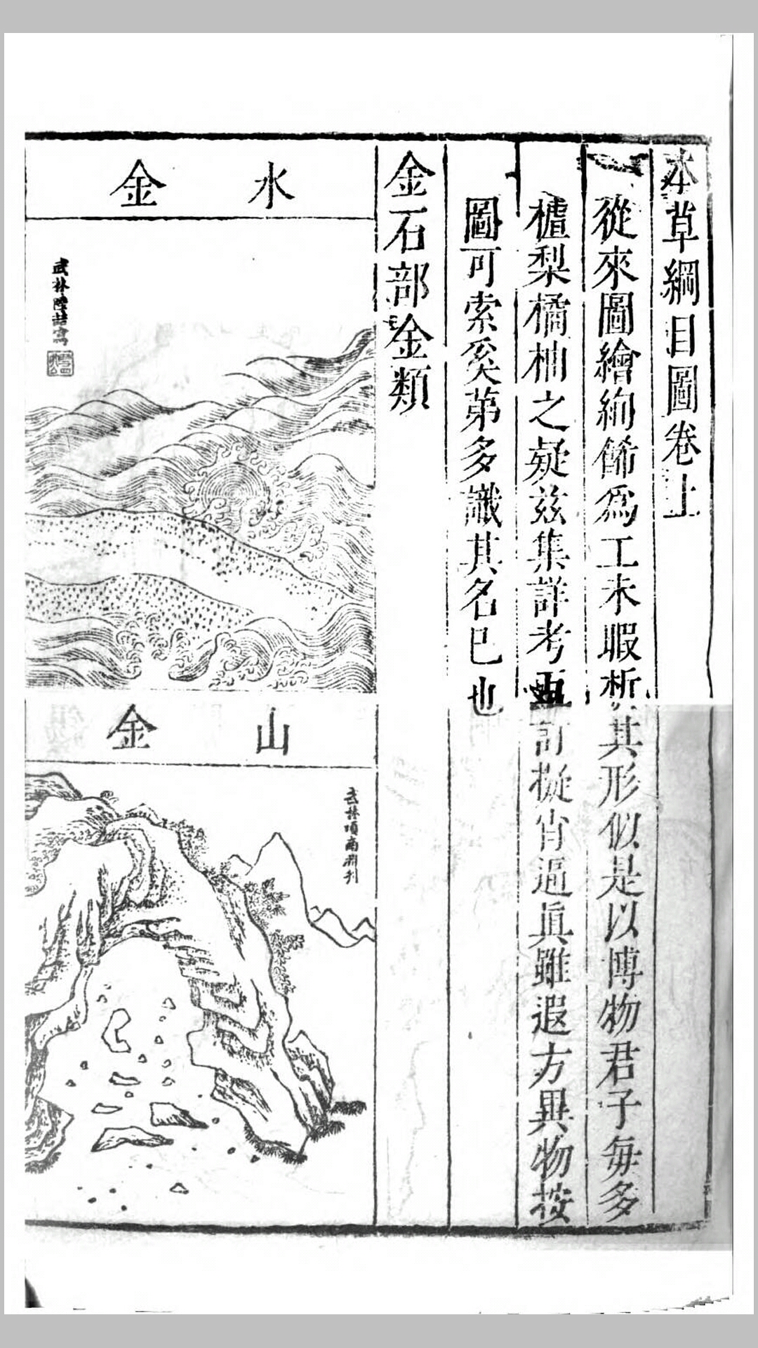 本草