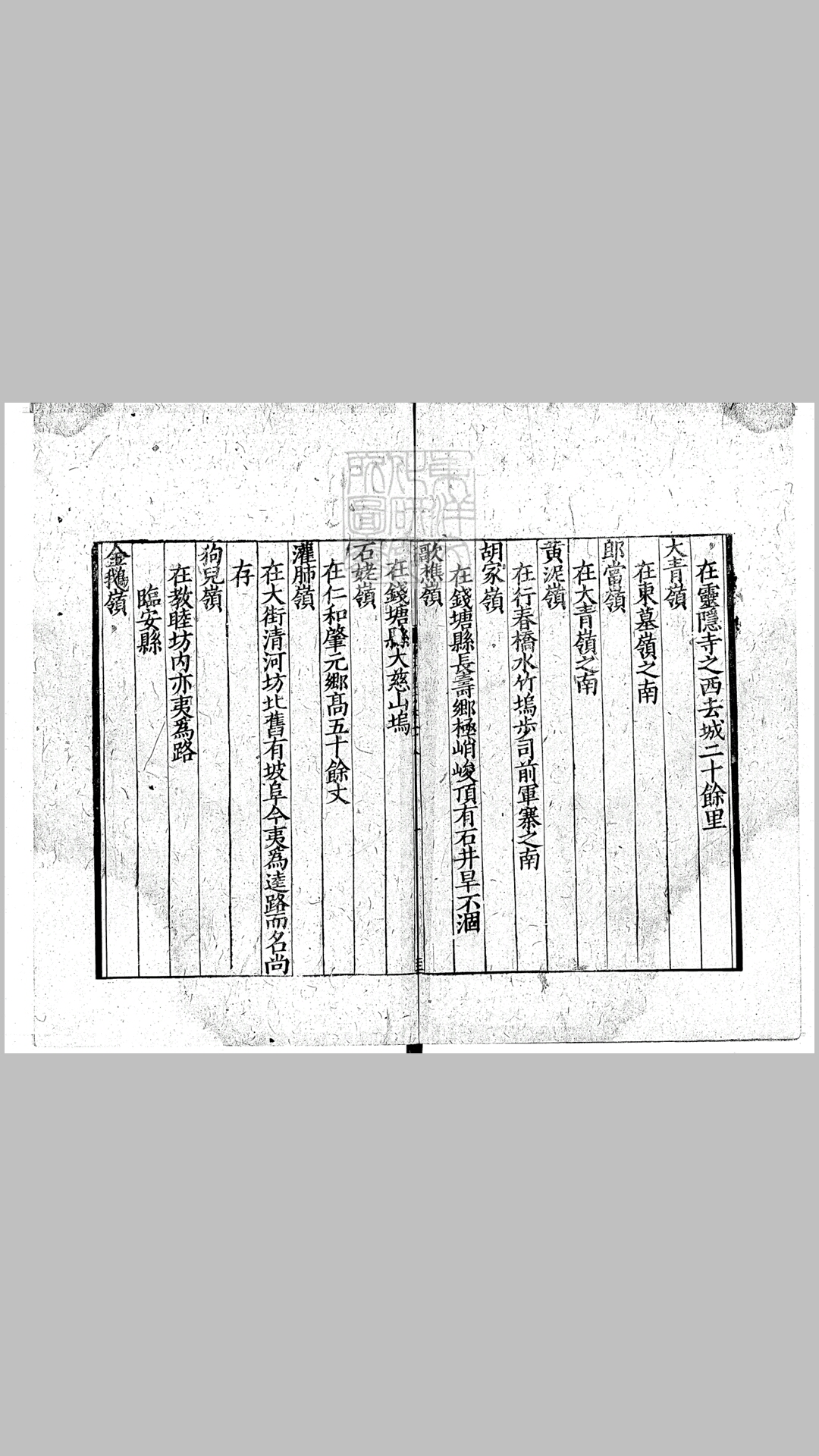 志