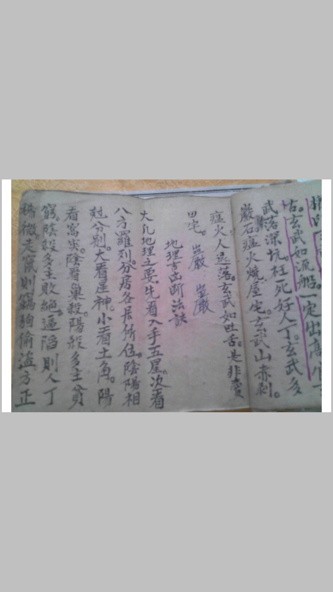 龍