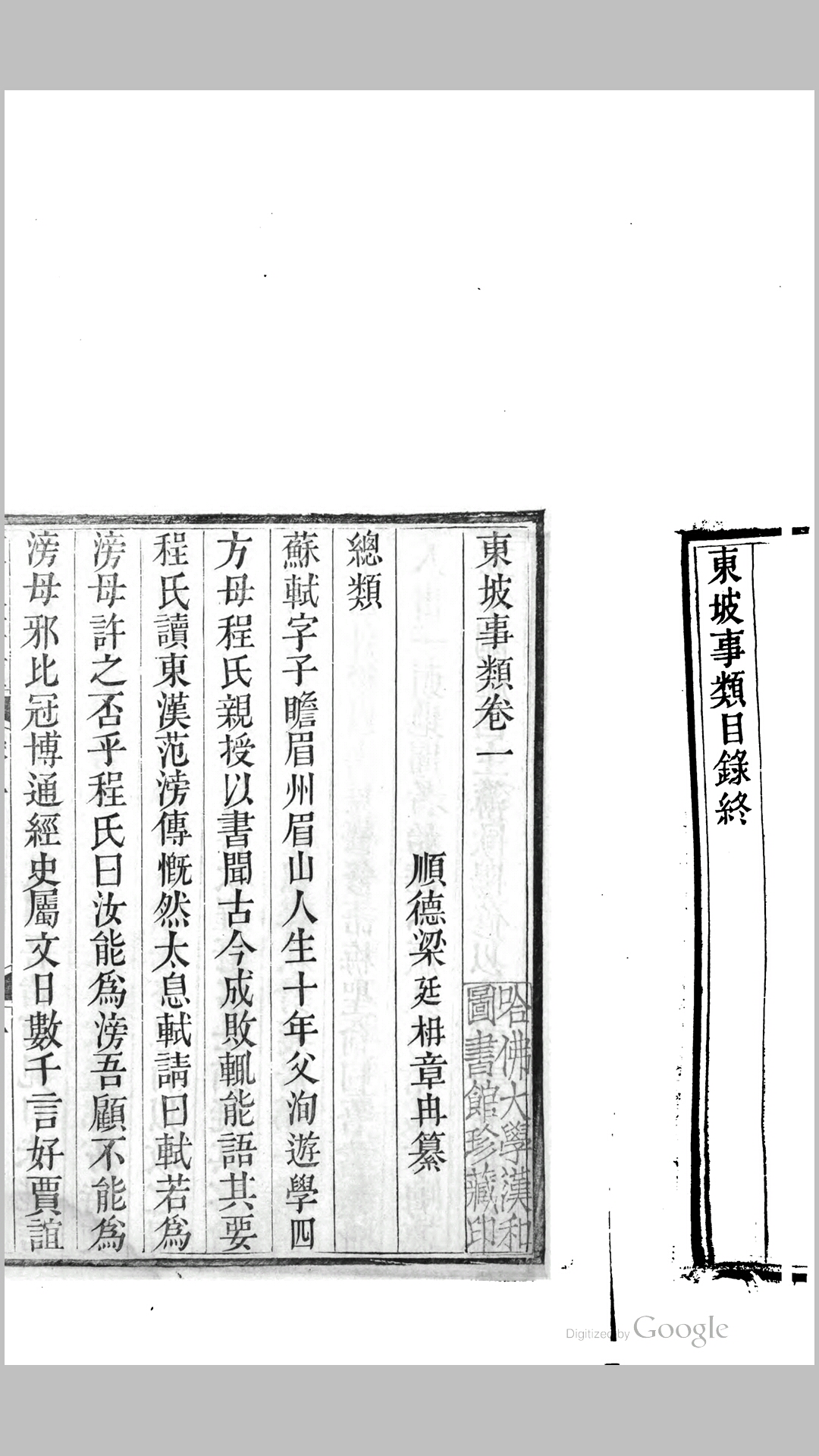 东坡