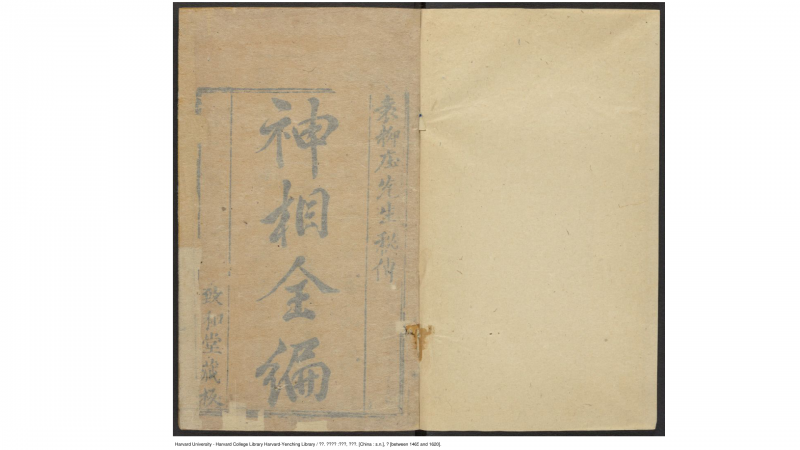 麻衣