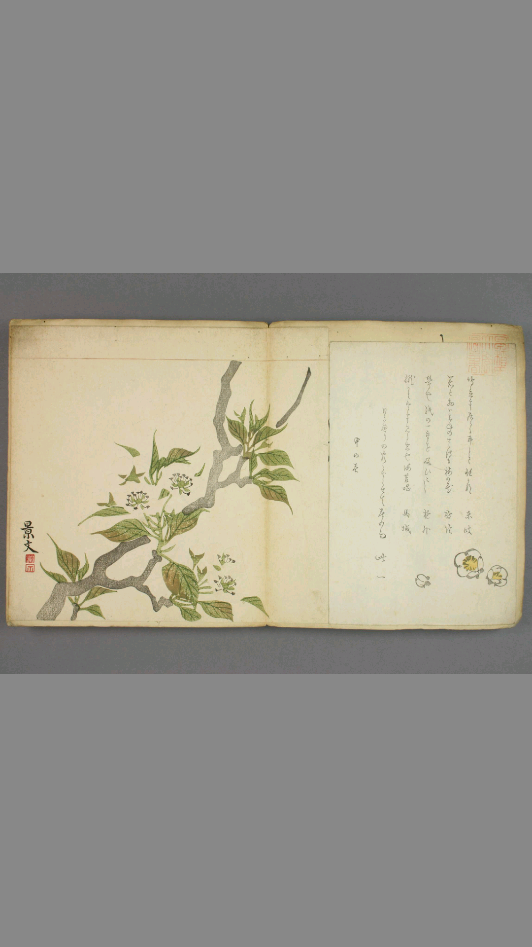 浮世绘装饰画.摺物貼込帖