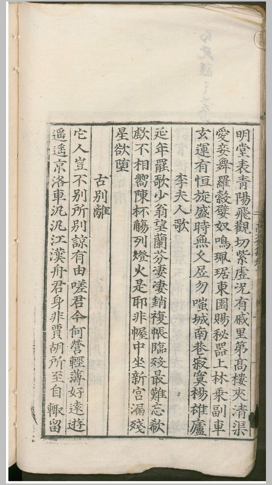 高太