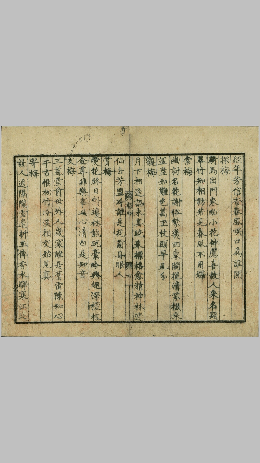 梅花