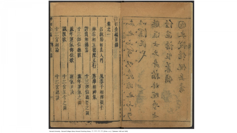 麻衣