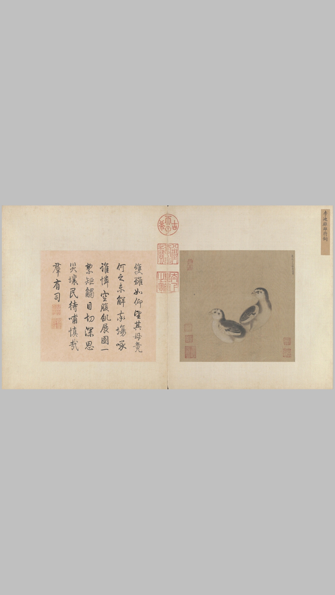 画