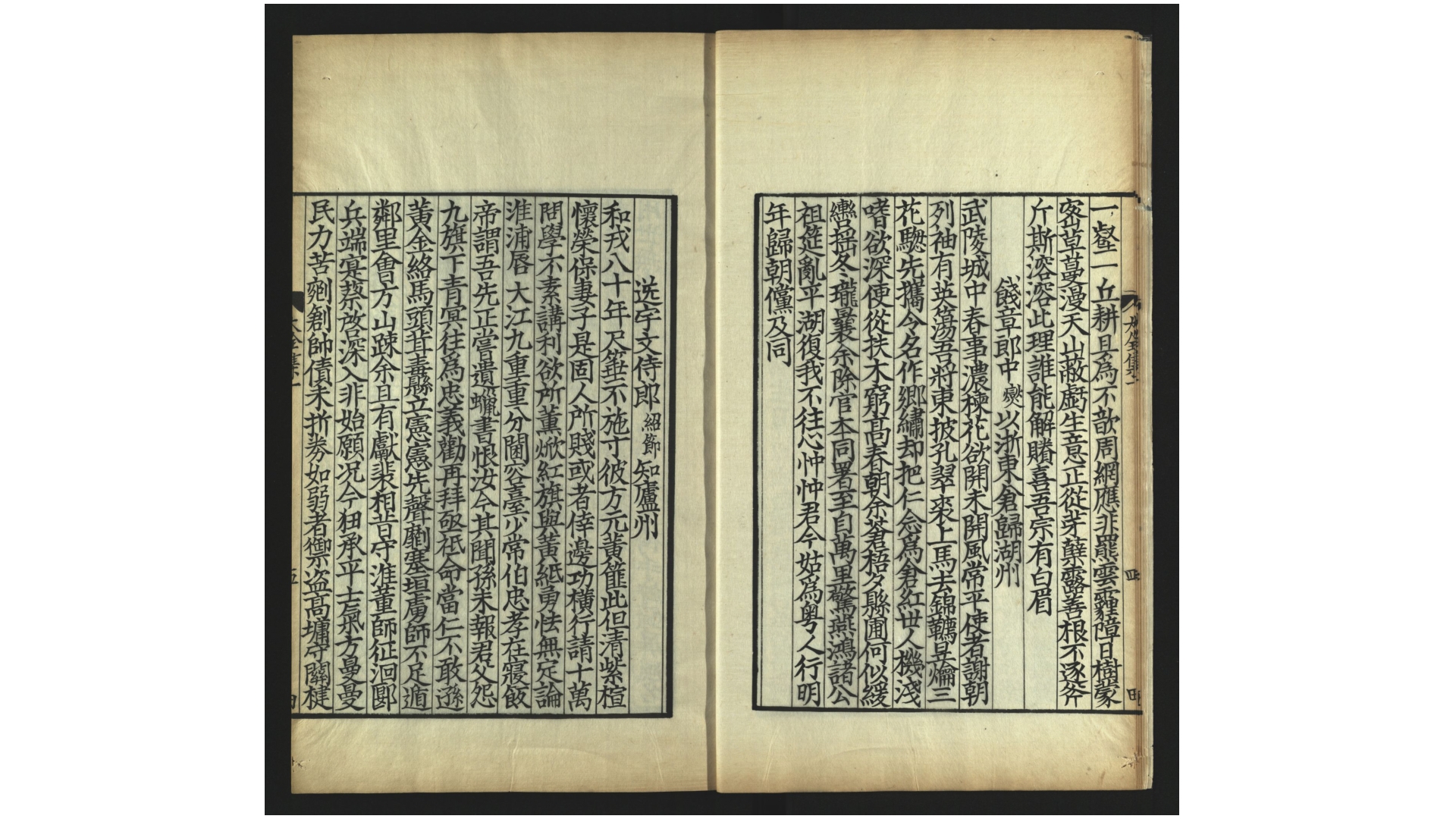 鹤文
