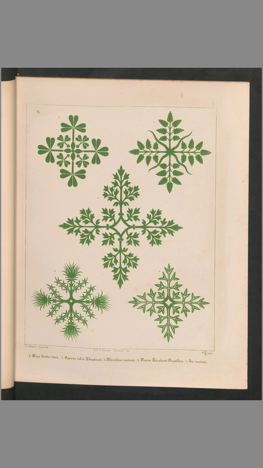 花卉装饰图案.31种.Floriated ornament.a series of thirtyone designs.by Augustus Welby Pugin.1849年