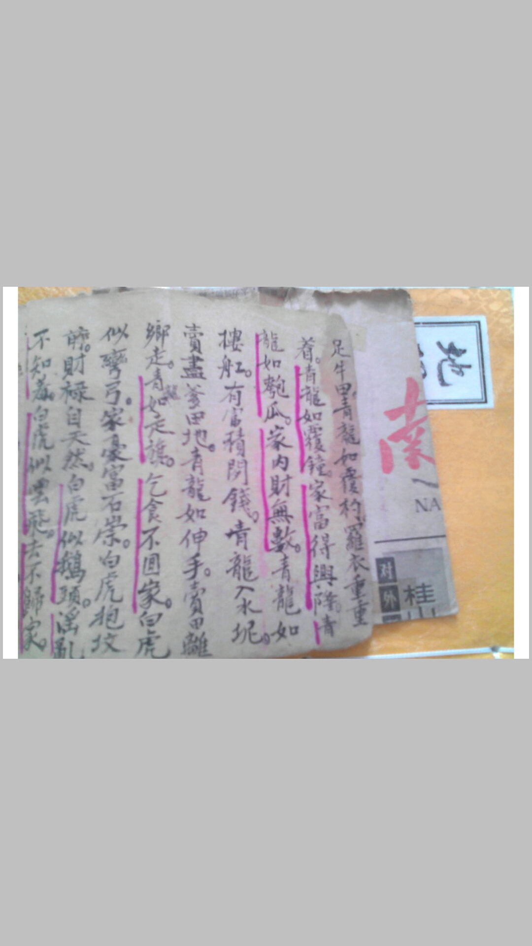 龍