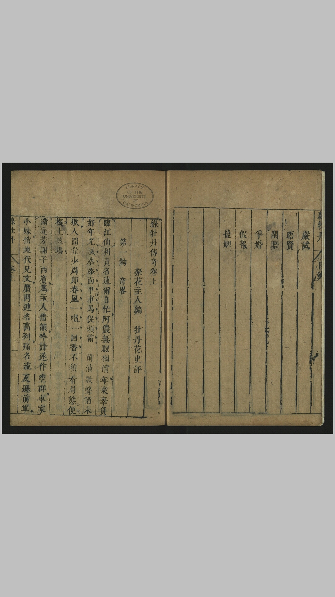 牡丹