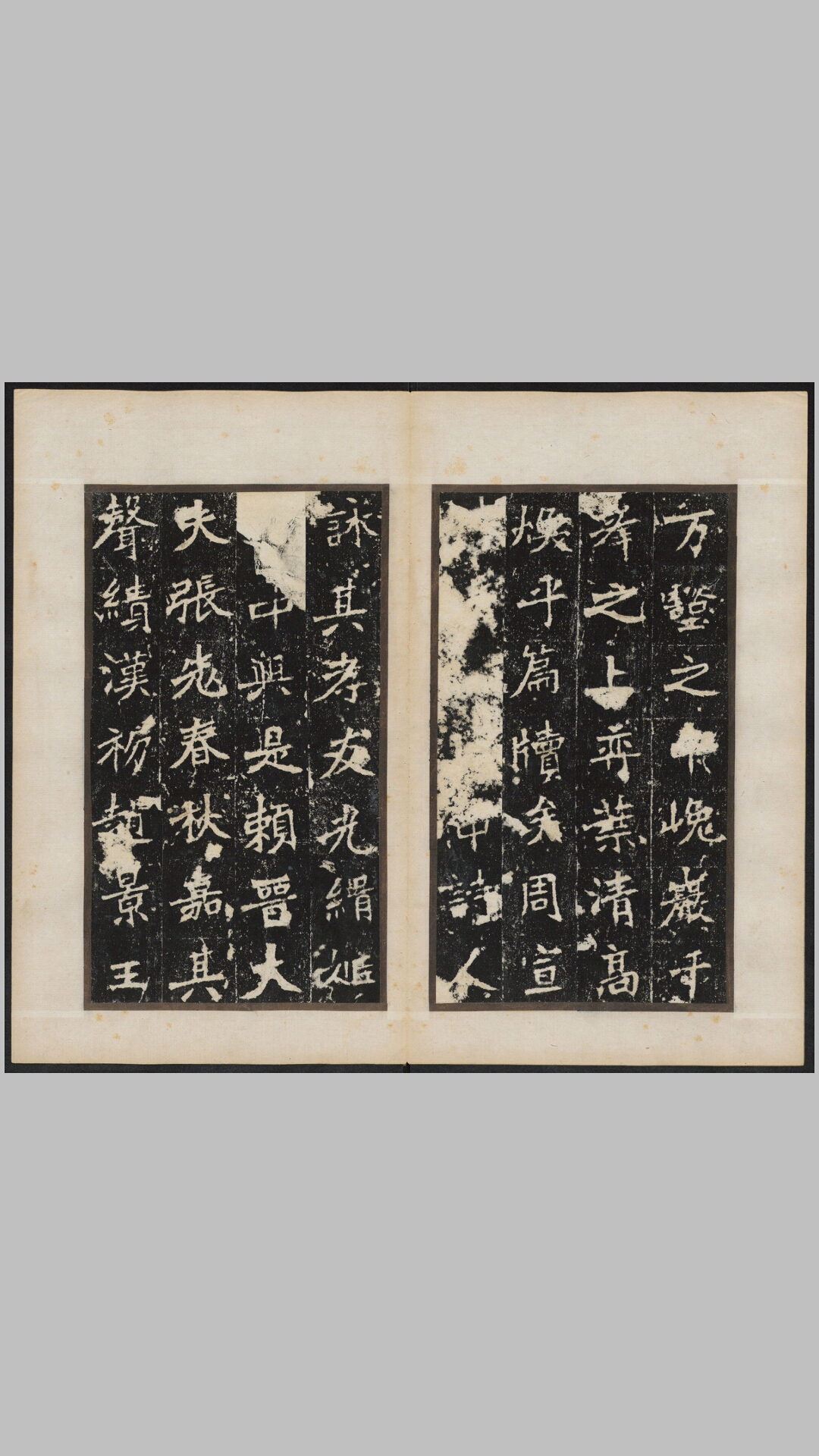 龙