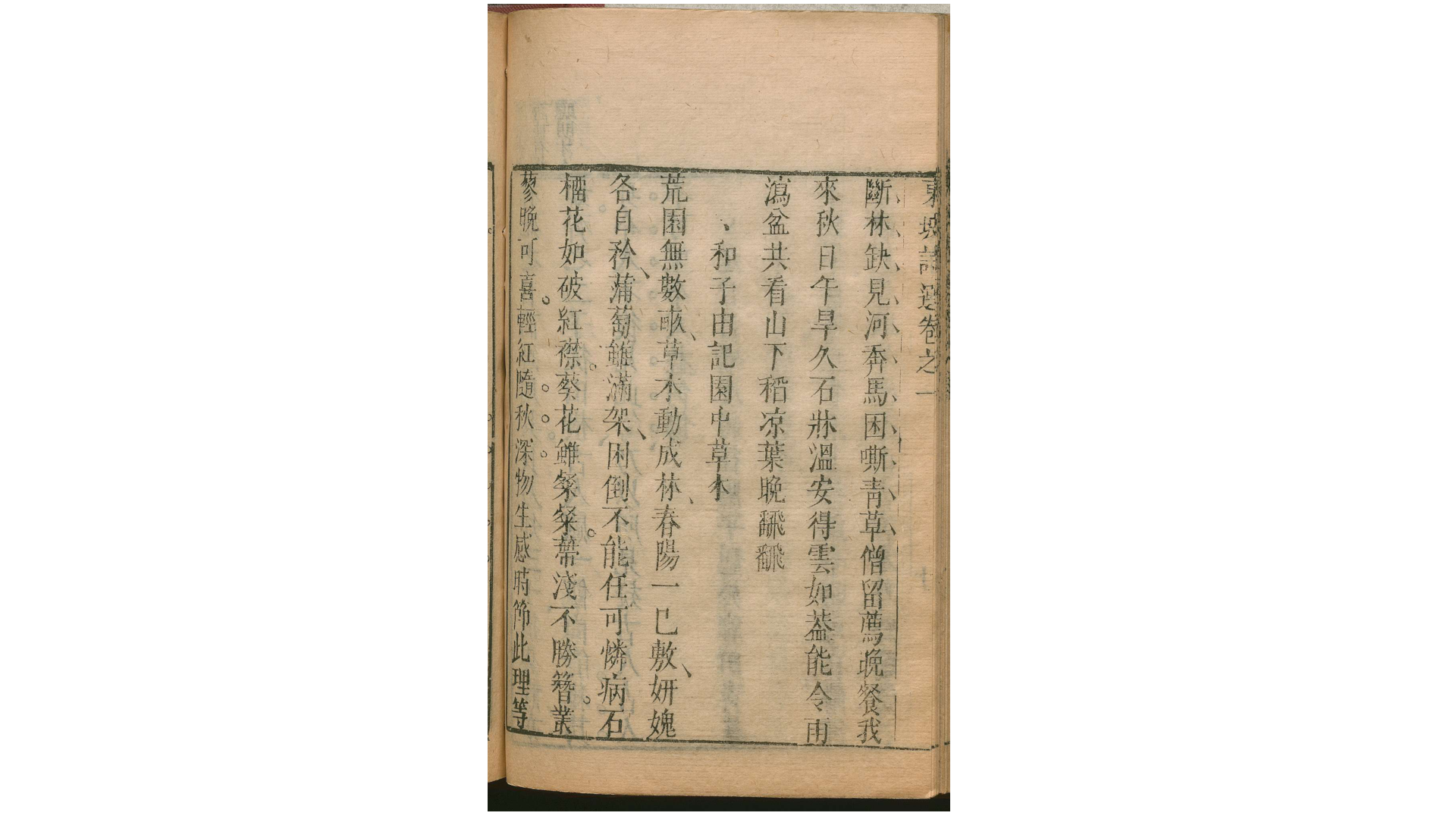 东坡