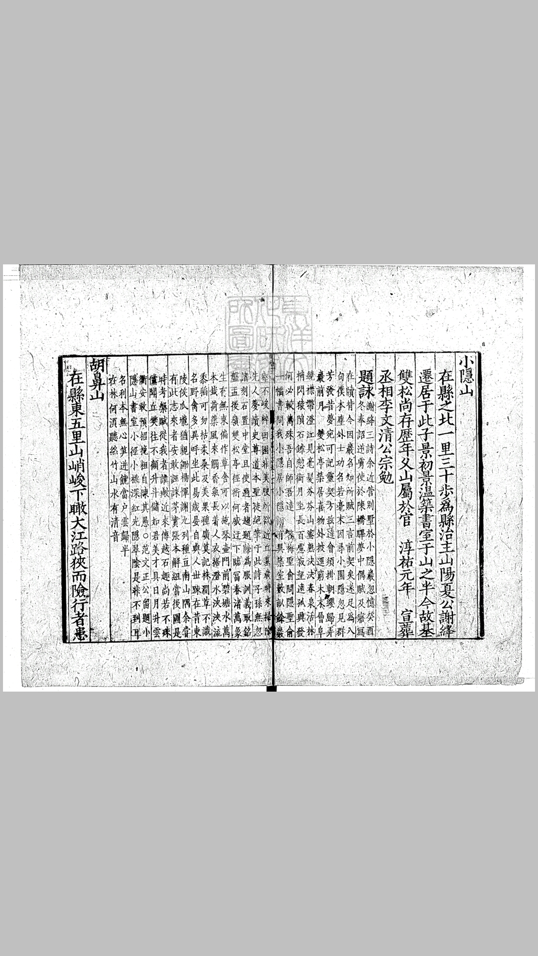 志