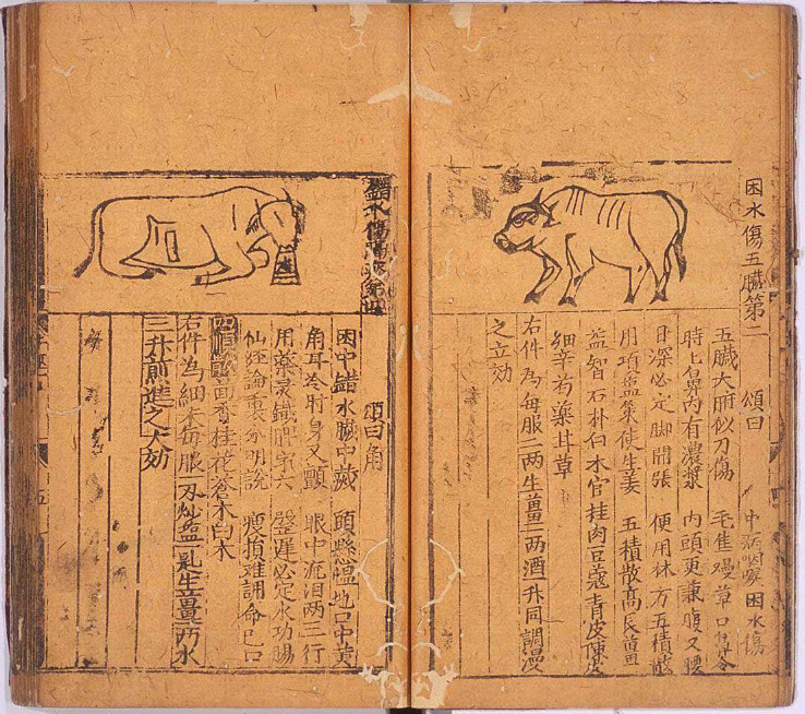 黄牛