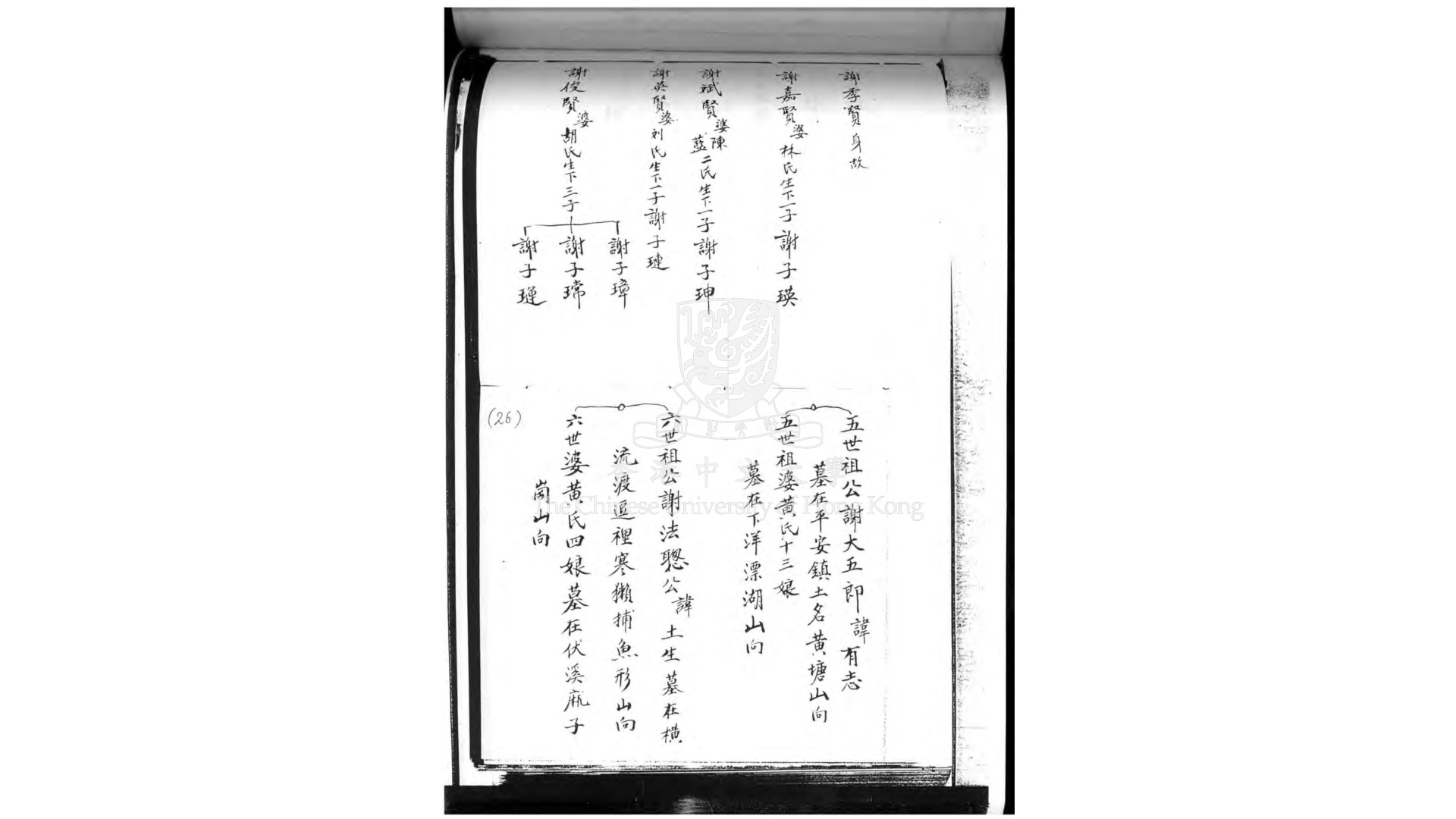 谢氏