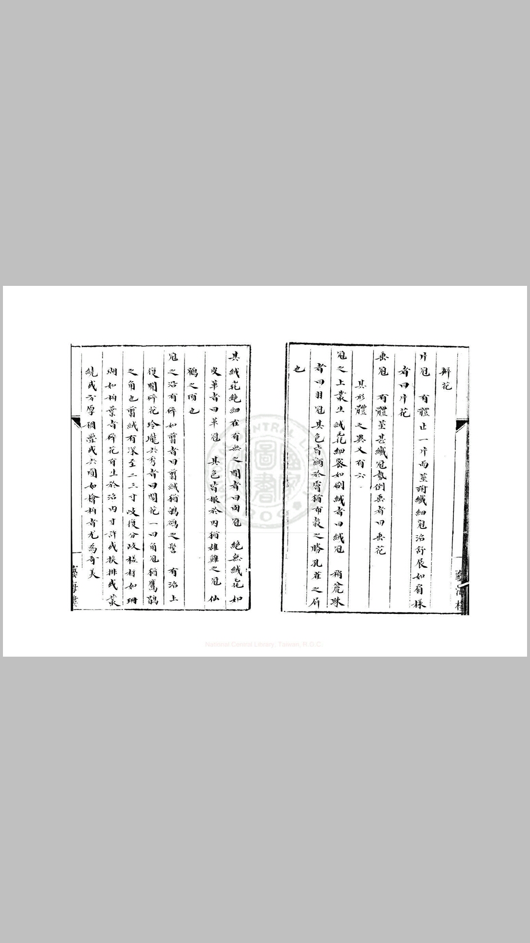 鸡冠
