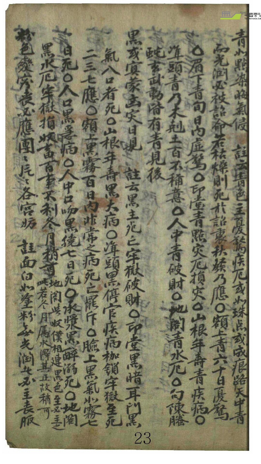 麻衣