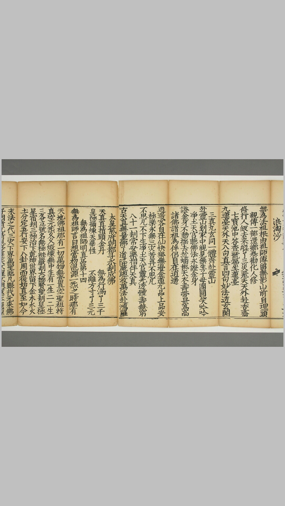 皇极