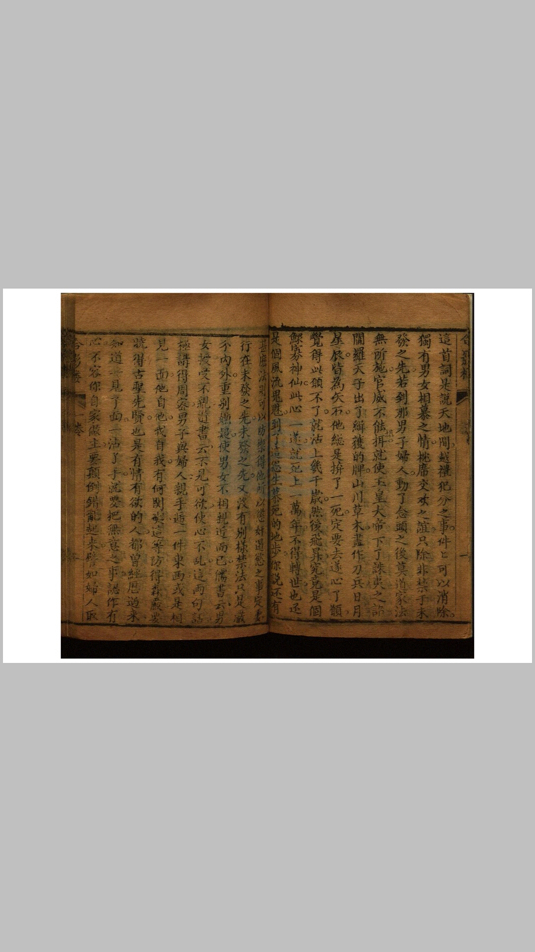 二十八