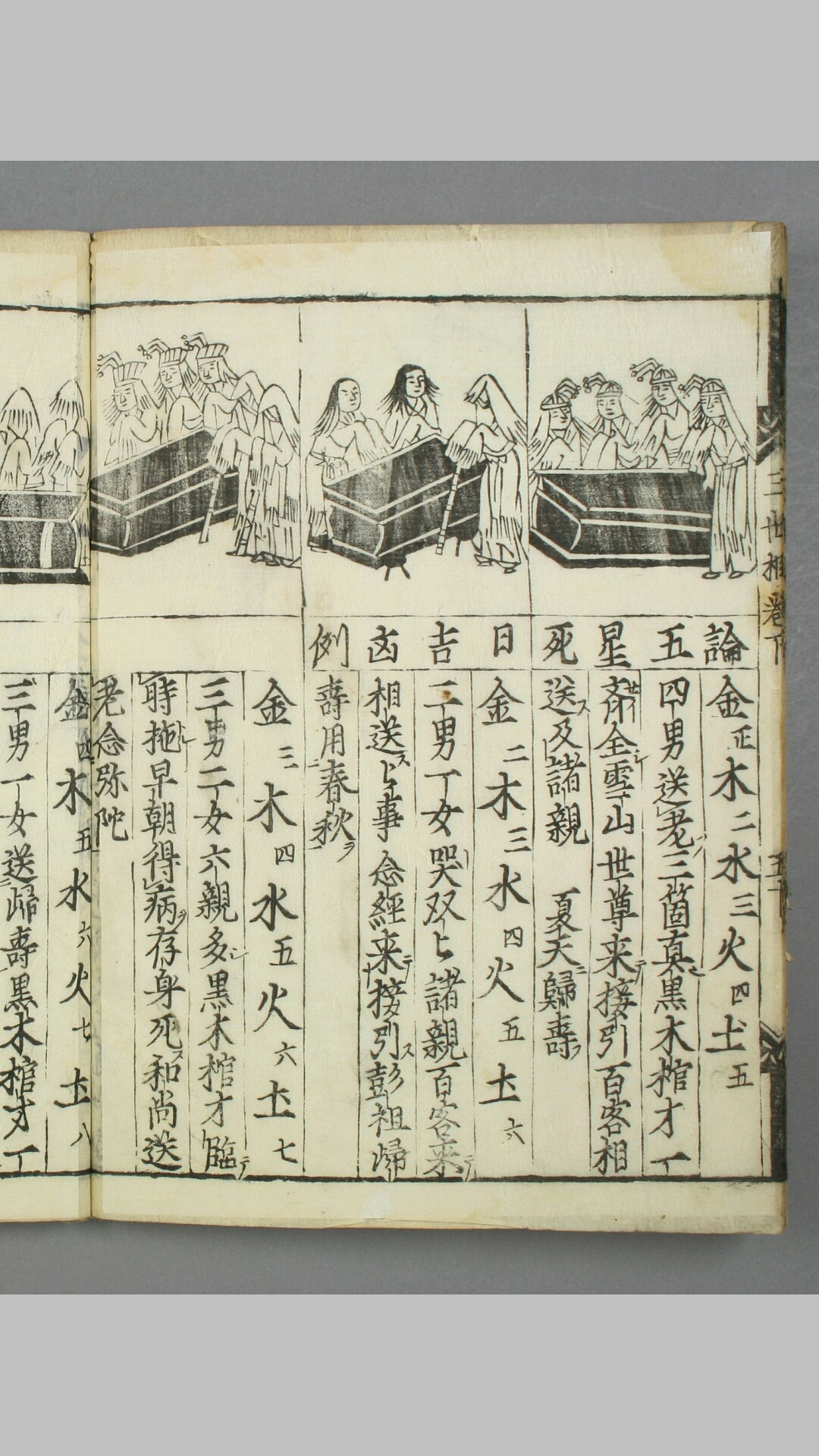 演禽