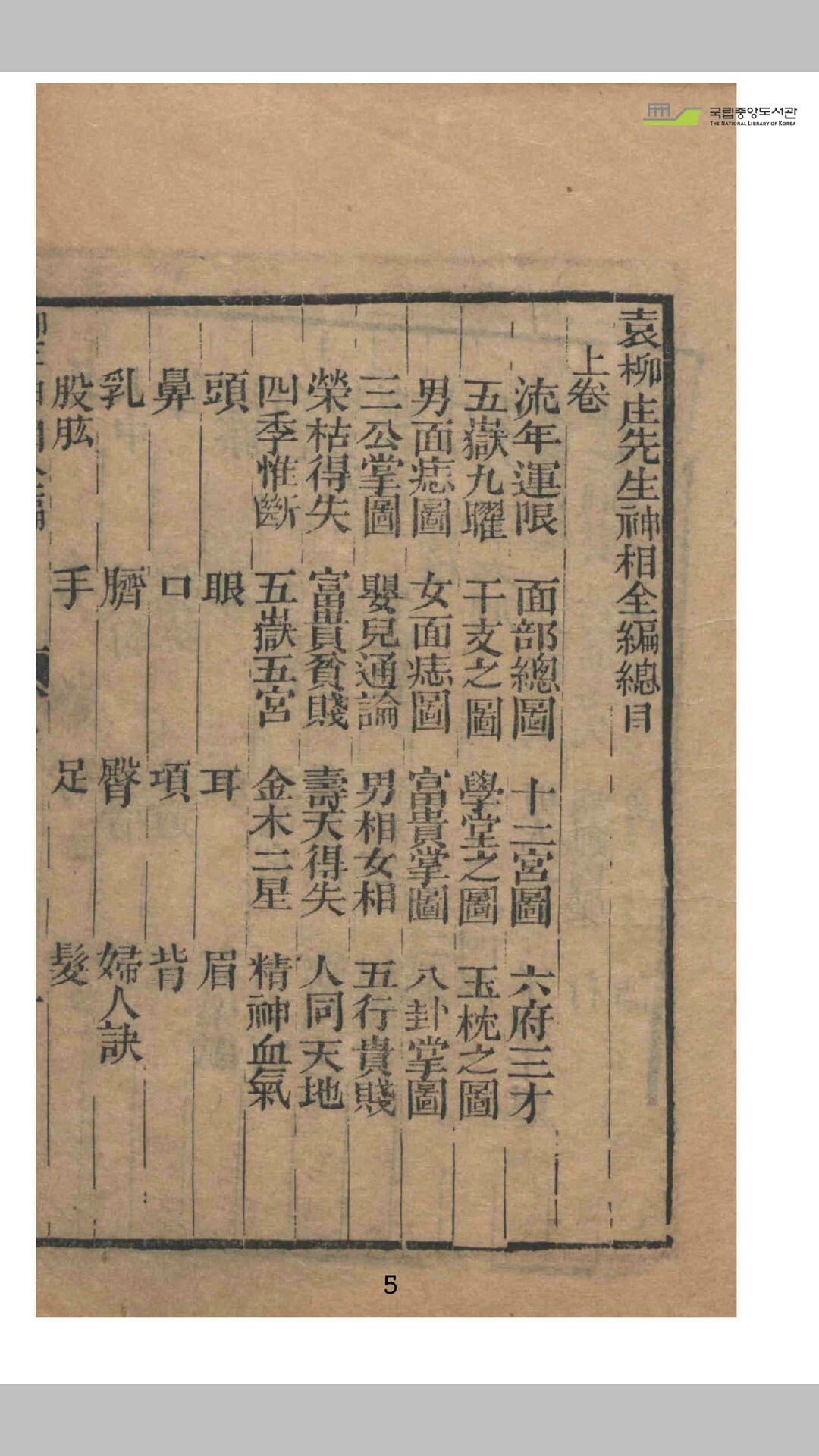 柳